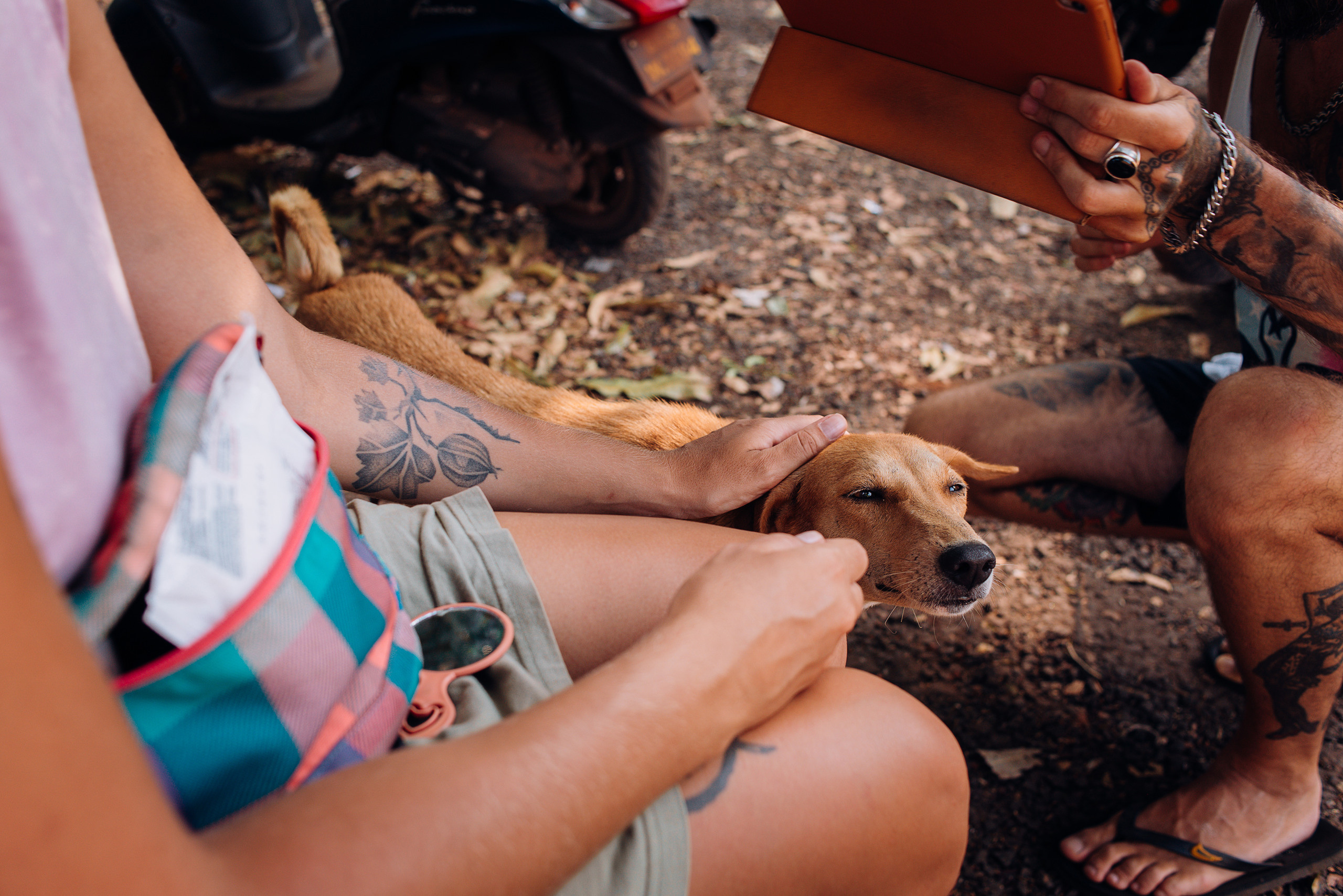 Лавстори заграницей. Семейный и свадебный фотограф в Нижнем Тагиле, Екатеринбурге Пряничник