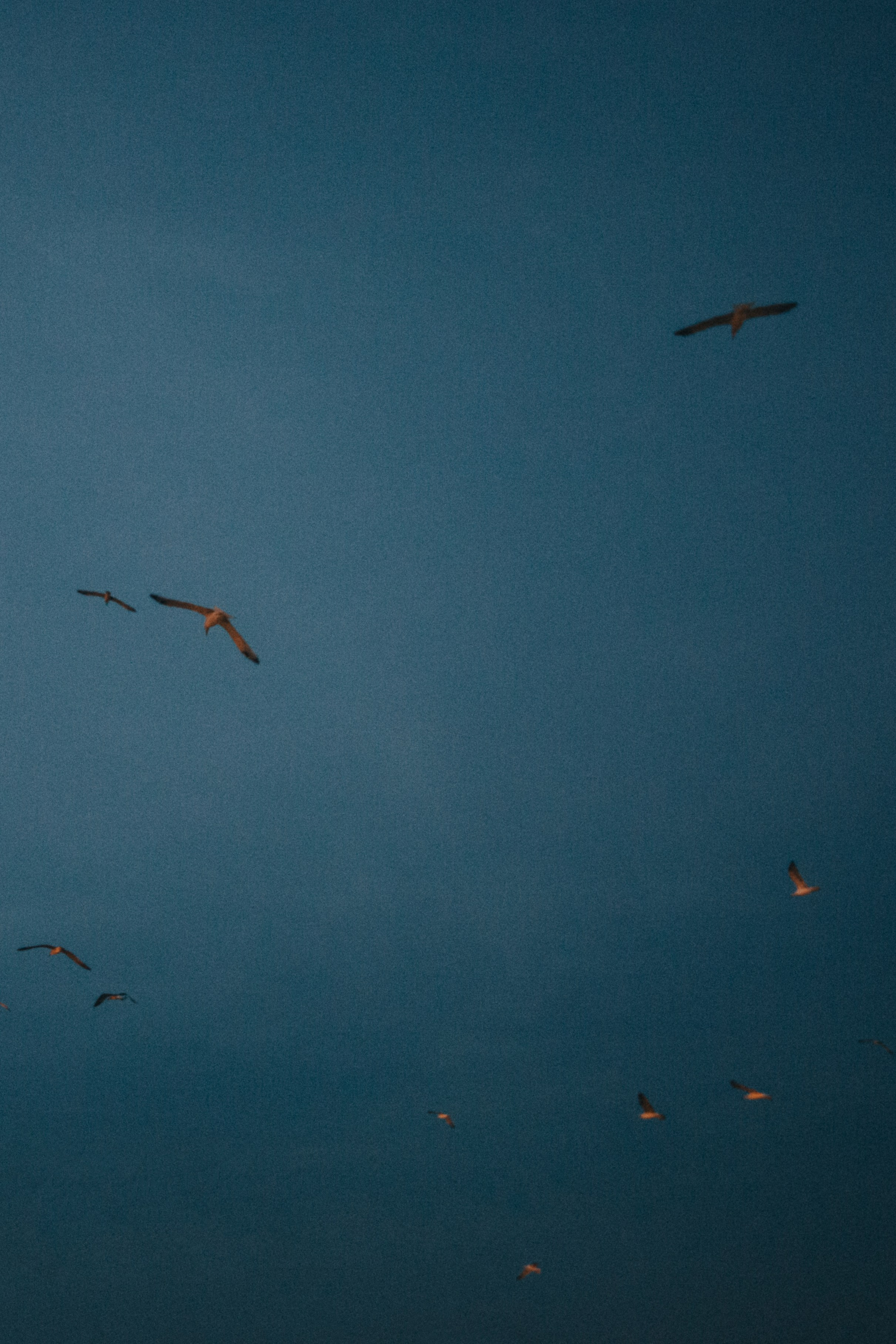 Istanbul, Turkey. Свадебный фотограф Москва и МО Паншина Дарья