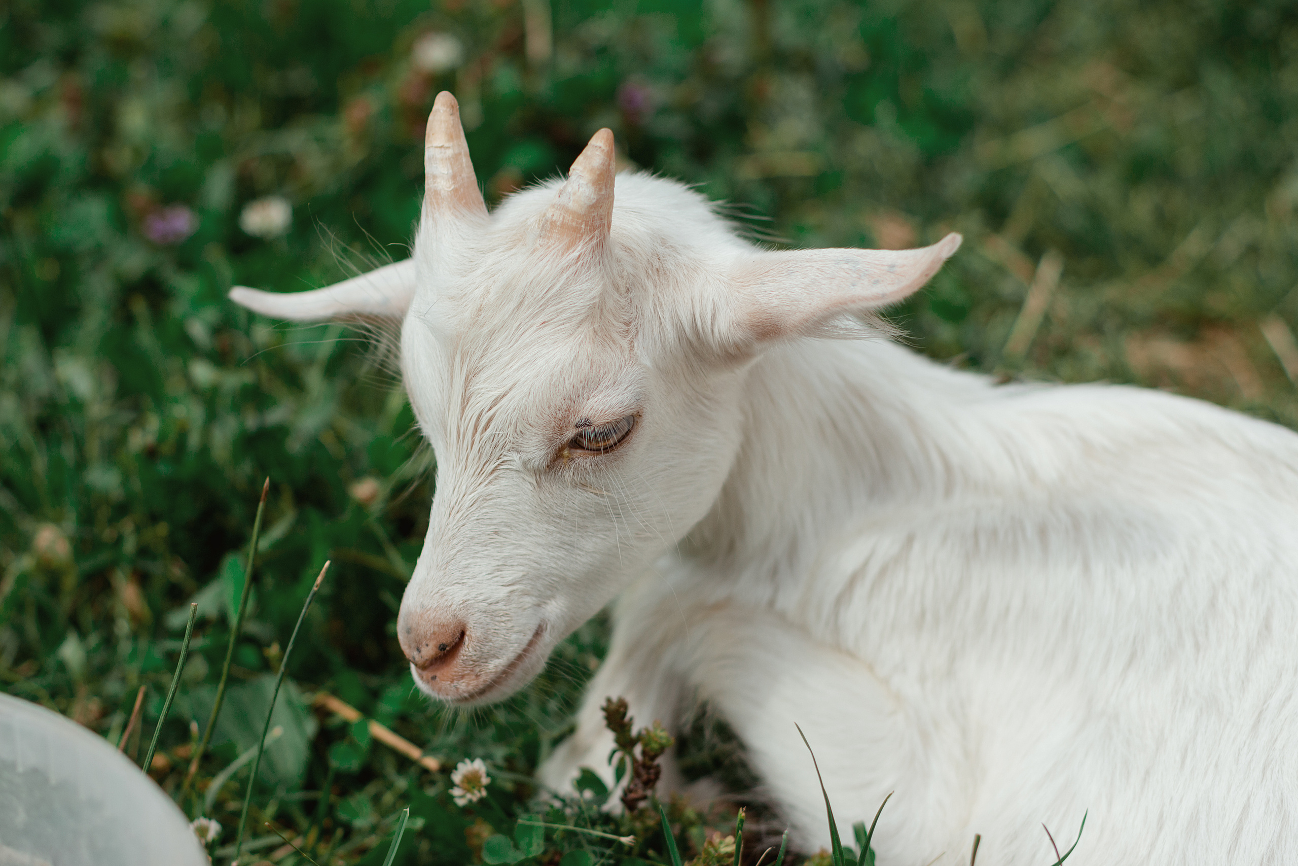 Яна. Фотограф в Смоленске Ася Польшина