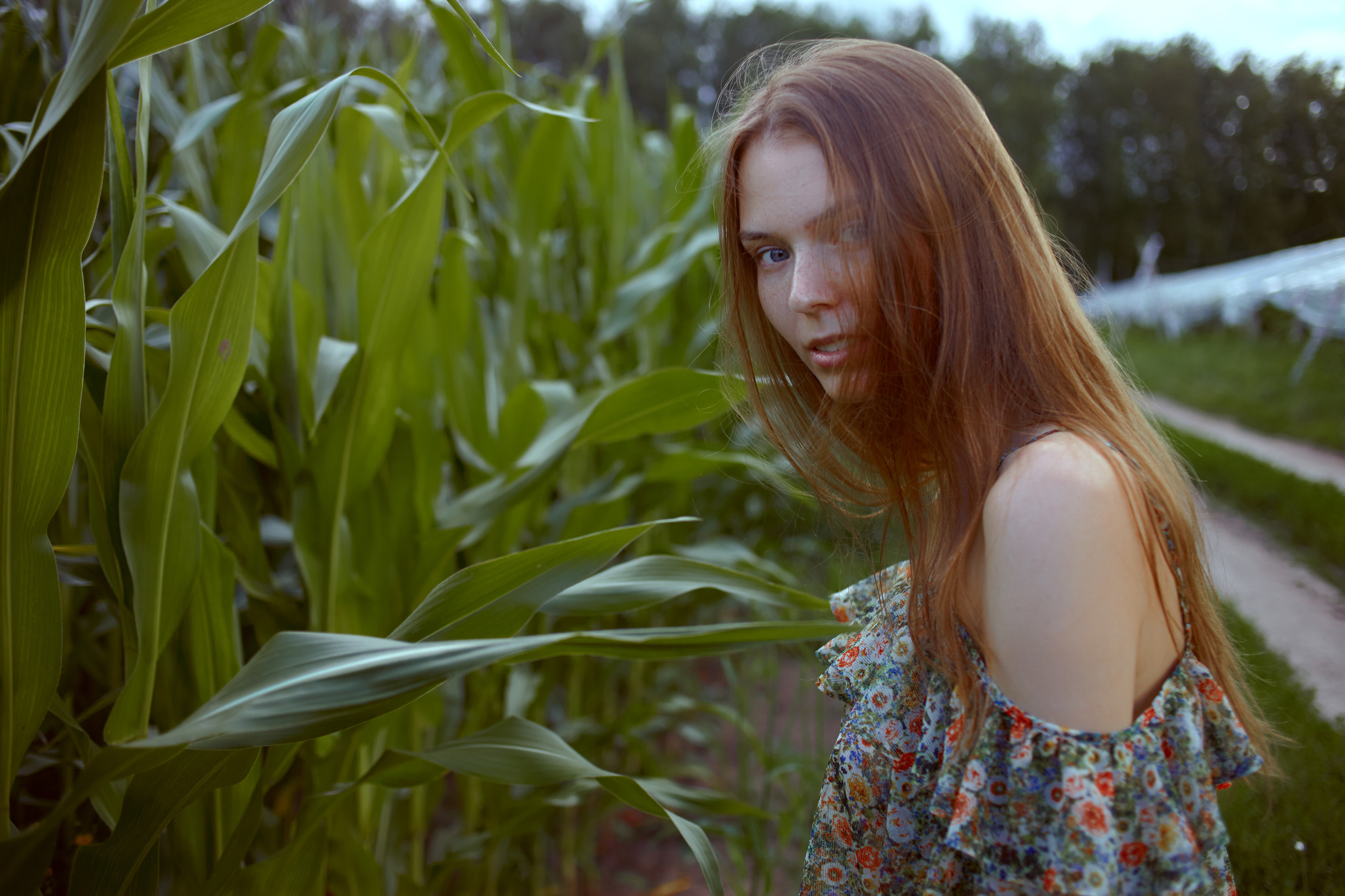 фотосессия для девушки на природе