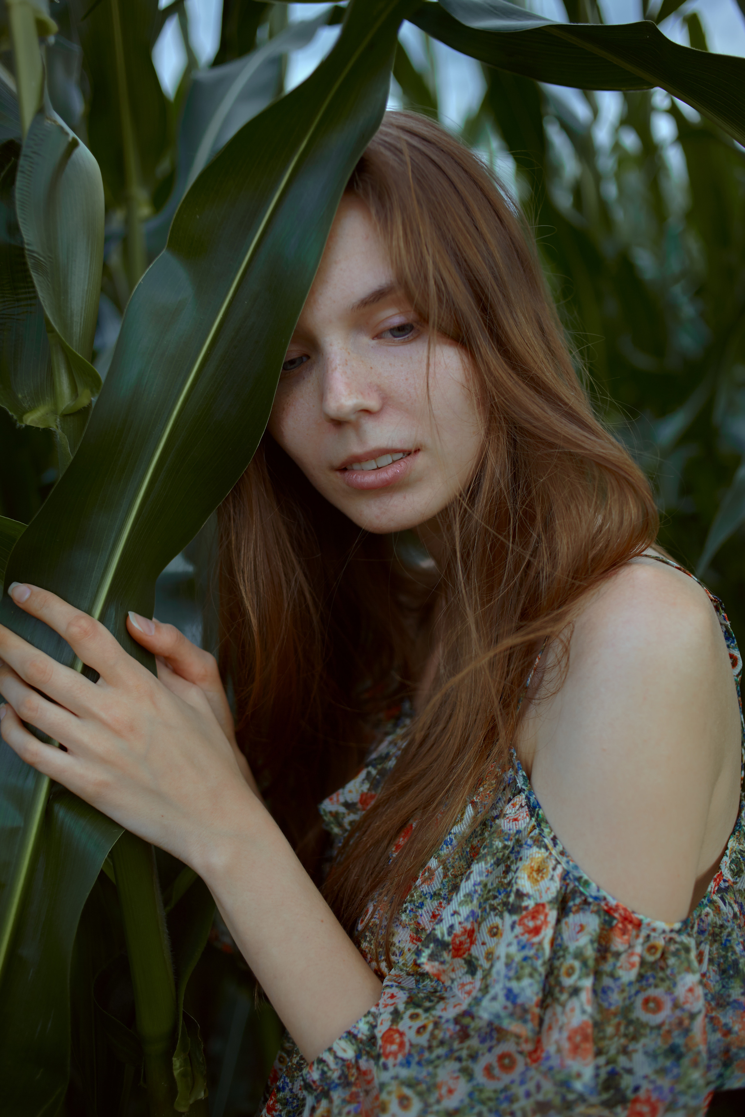 фотосессия для девушки в кукурузном поле