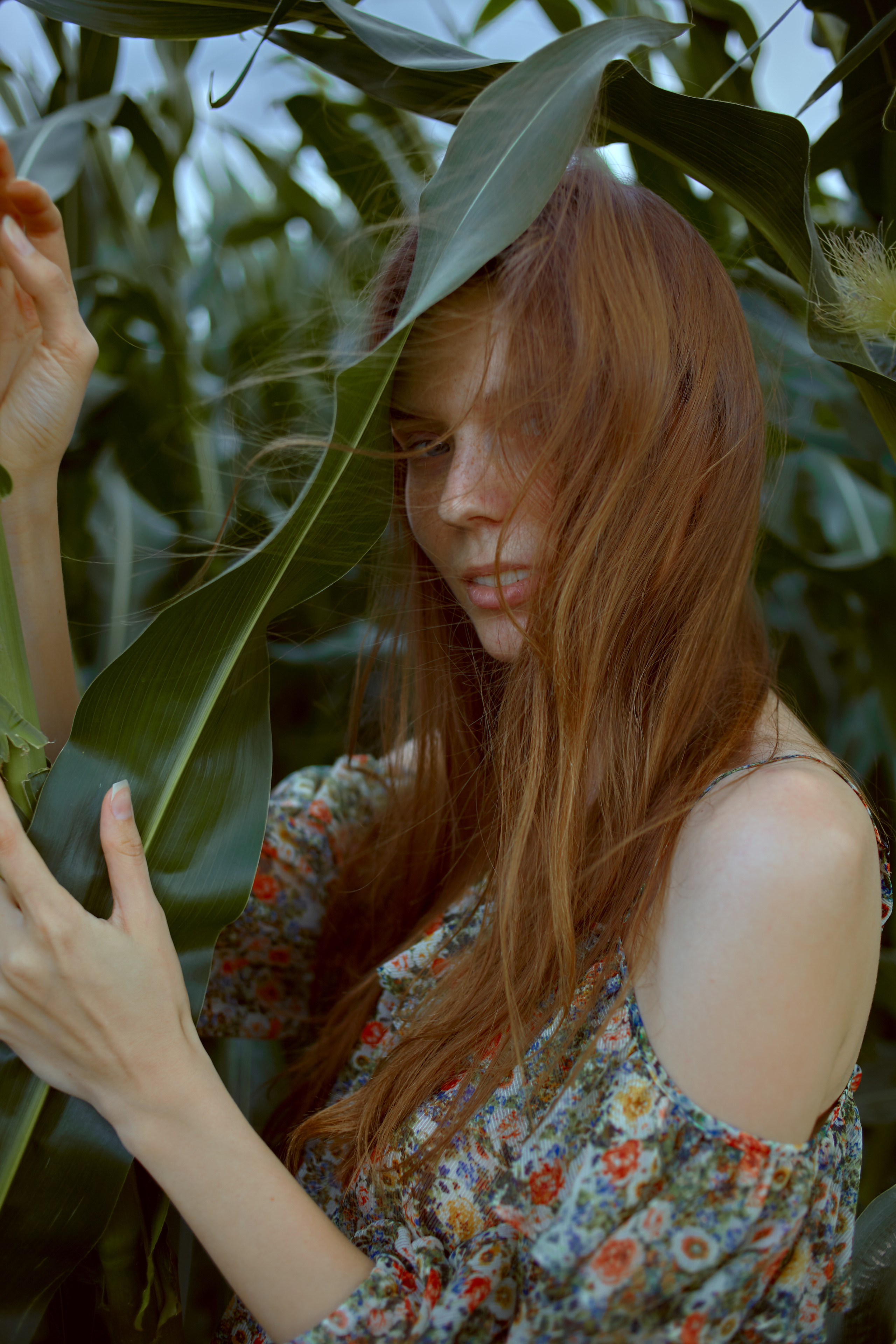 фотосессия для девушки в кукурузном поле