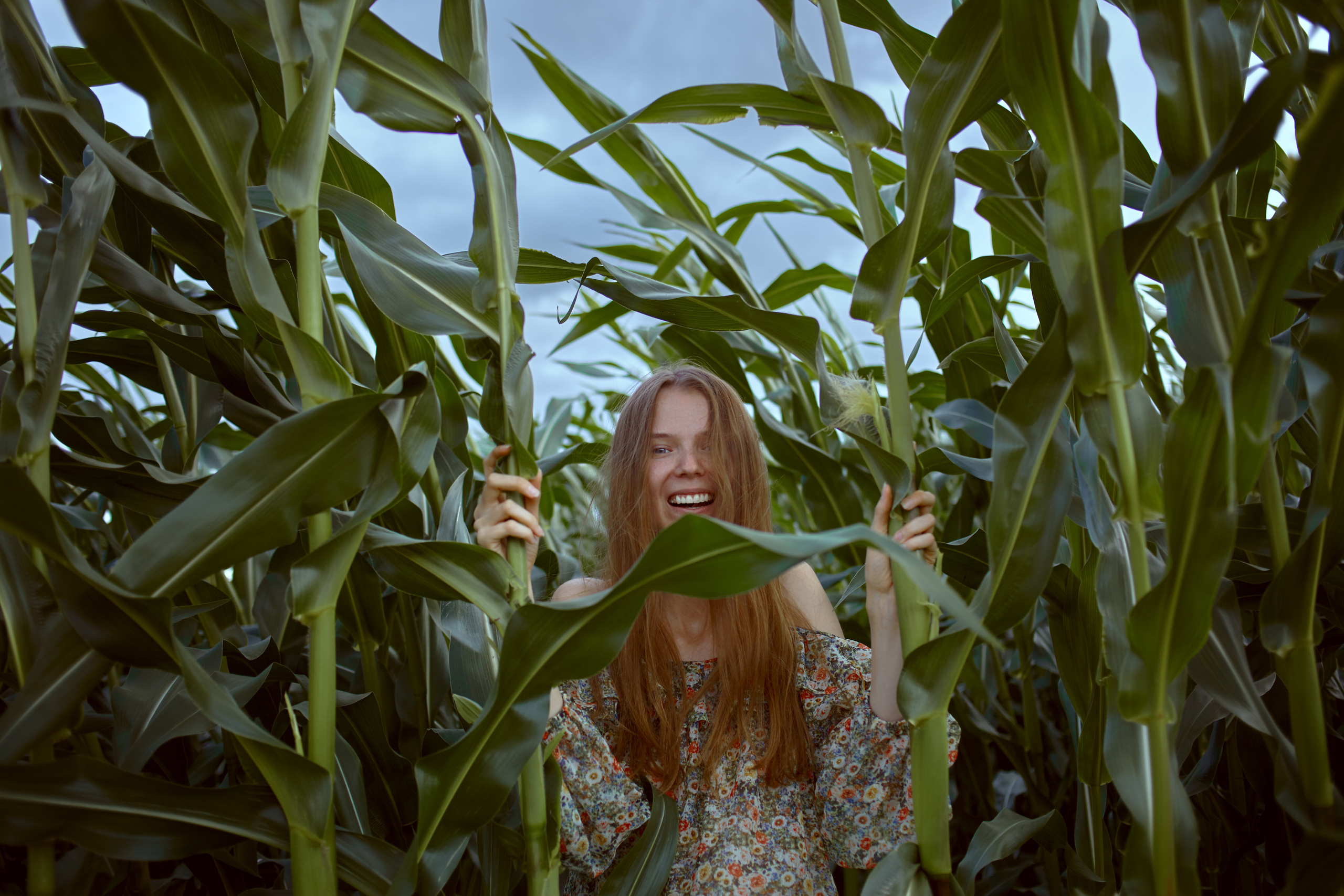 фотосессия для девушки в кукурузном поле