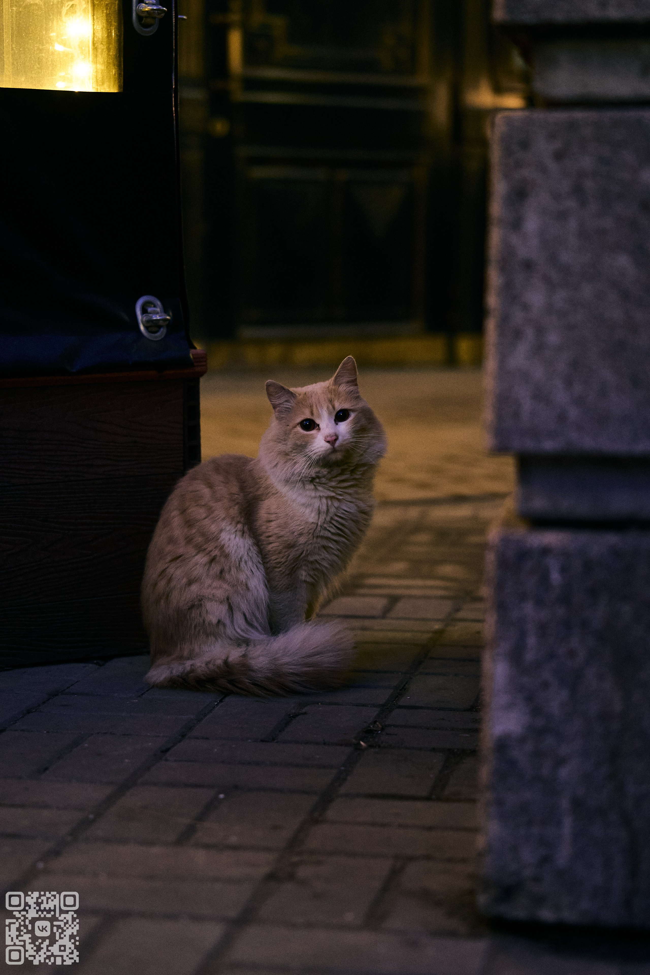 Фотография глазами меня. Photo by Volanchiek