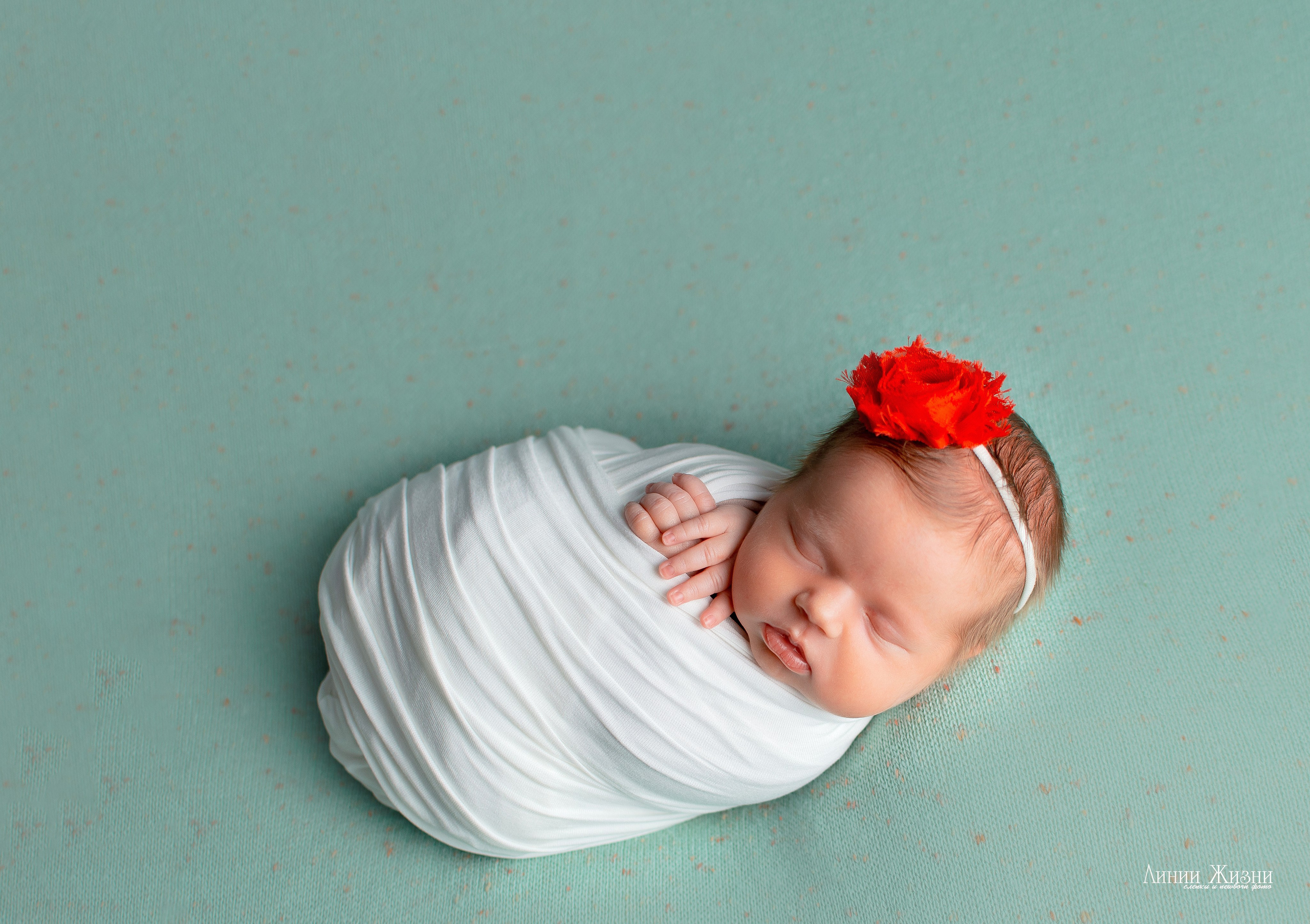 Ксения 7 дней. Фотограф новорожденных в Нижнем Новгороде Сергеева Оксана