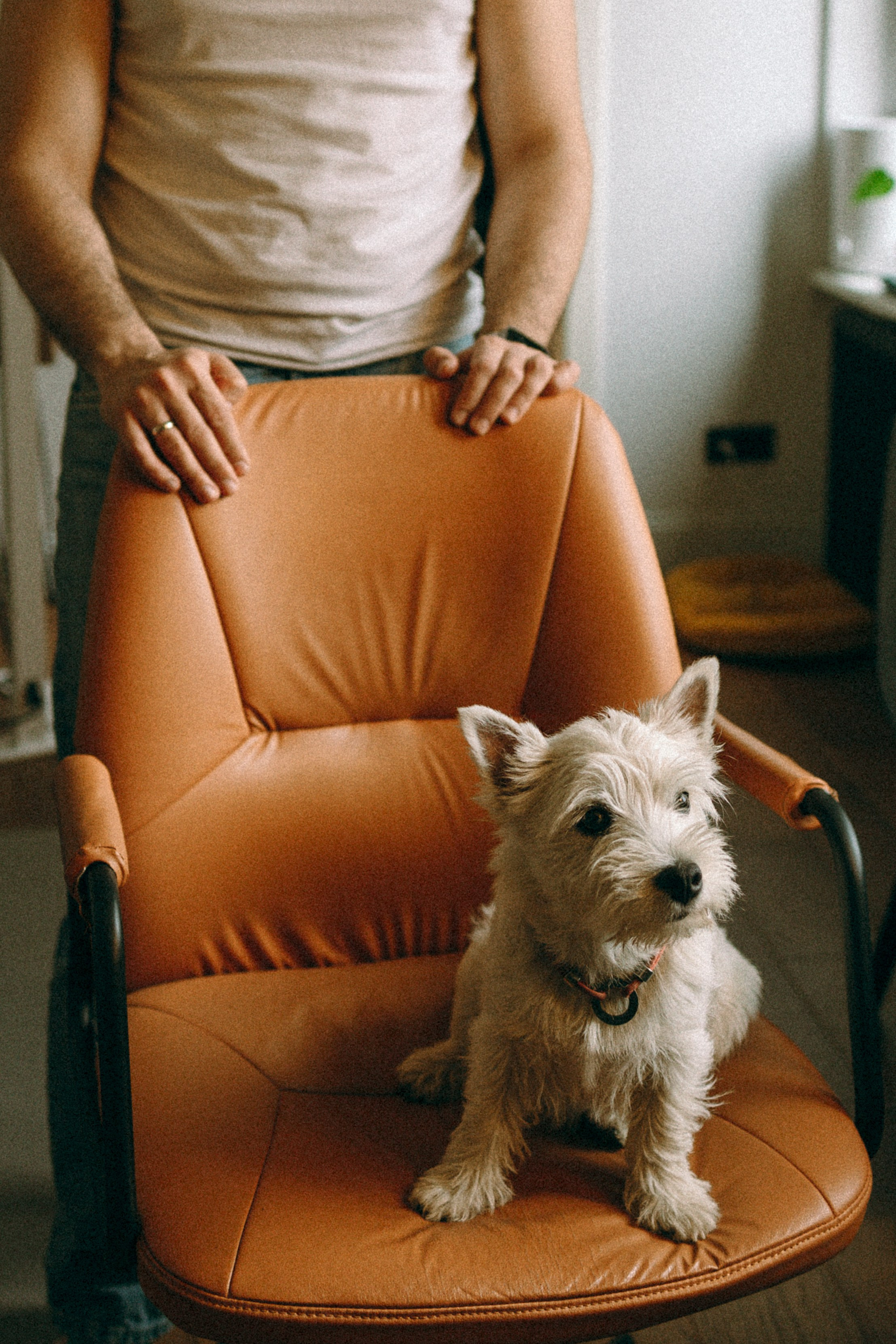 Снежуля, Мари и Саша. Фотограф анималист Анастасия Пикей