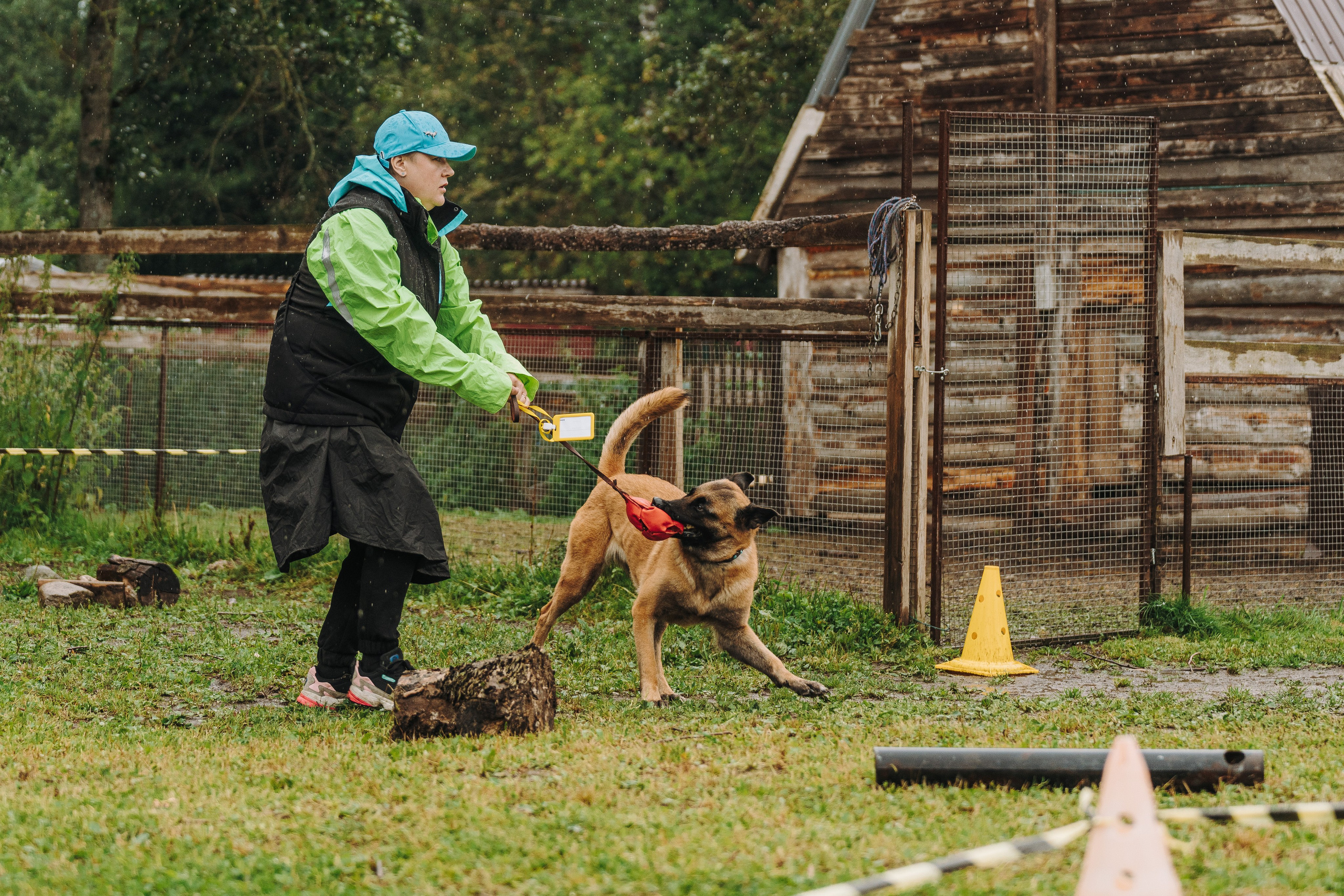 Соревнования по ноузворку в Новожилово. Фотограф анималист в Спб недорого Олеся Майорова