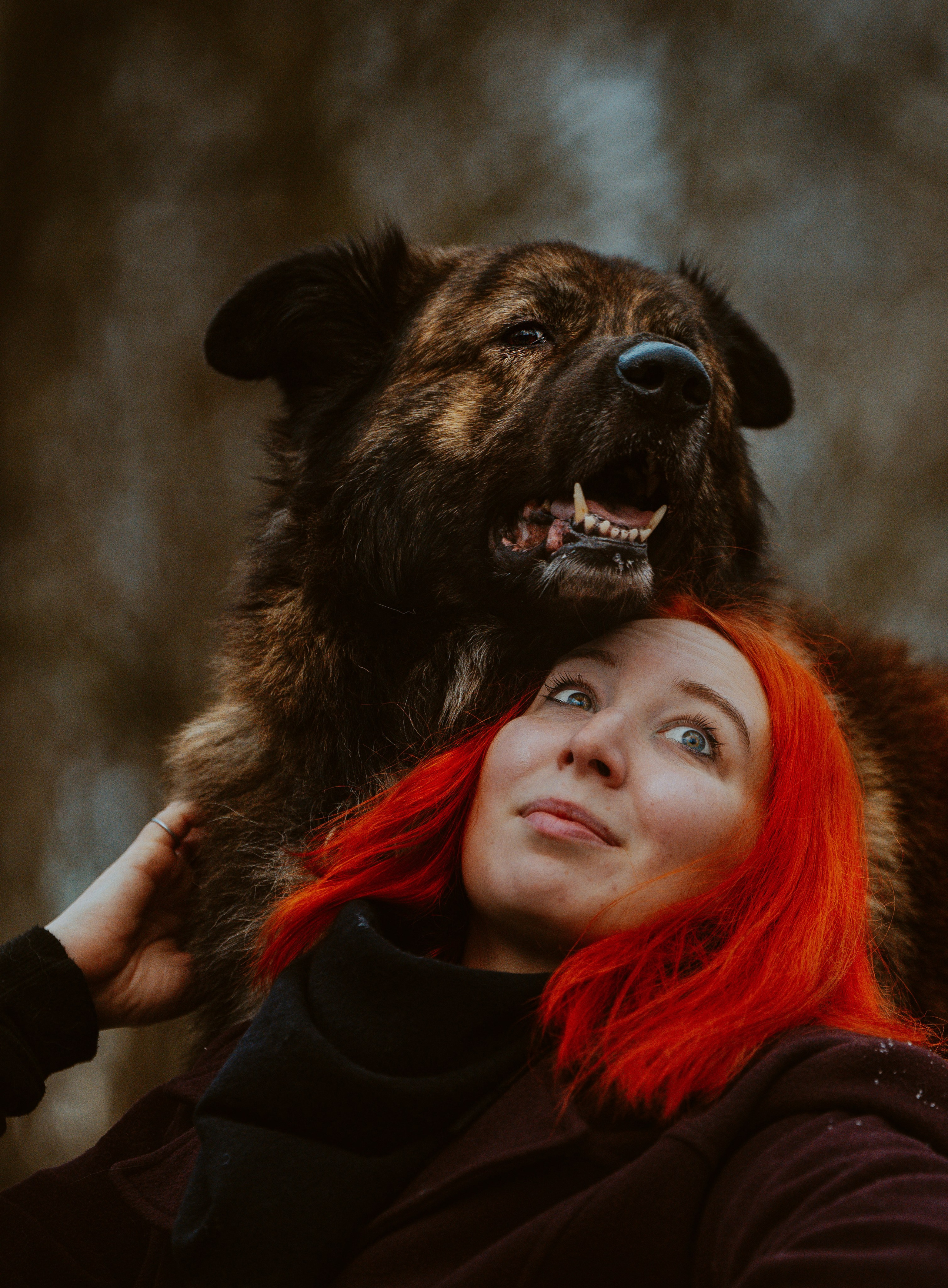 Творческая фотосессия фотографа анималиста. Фотограф анималист в Спб недорого Олеся Майорова