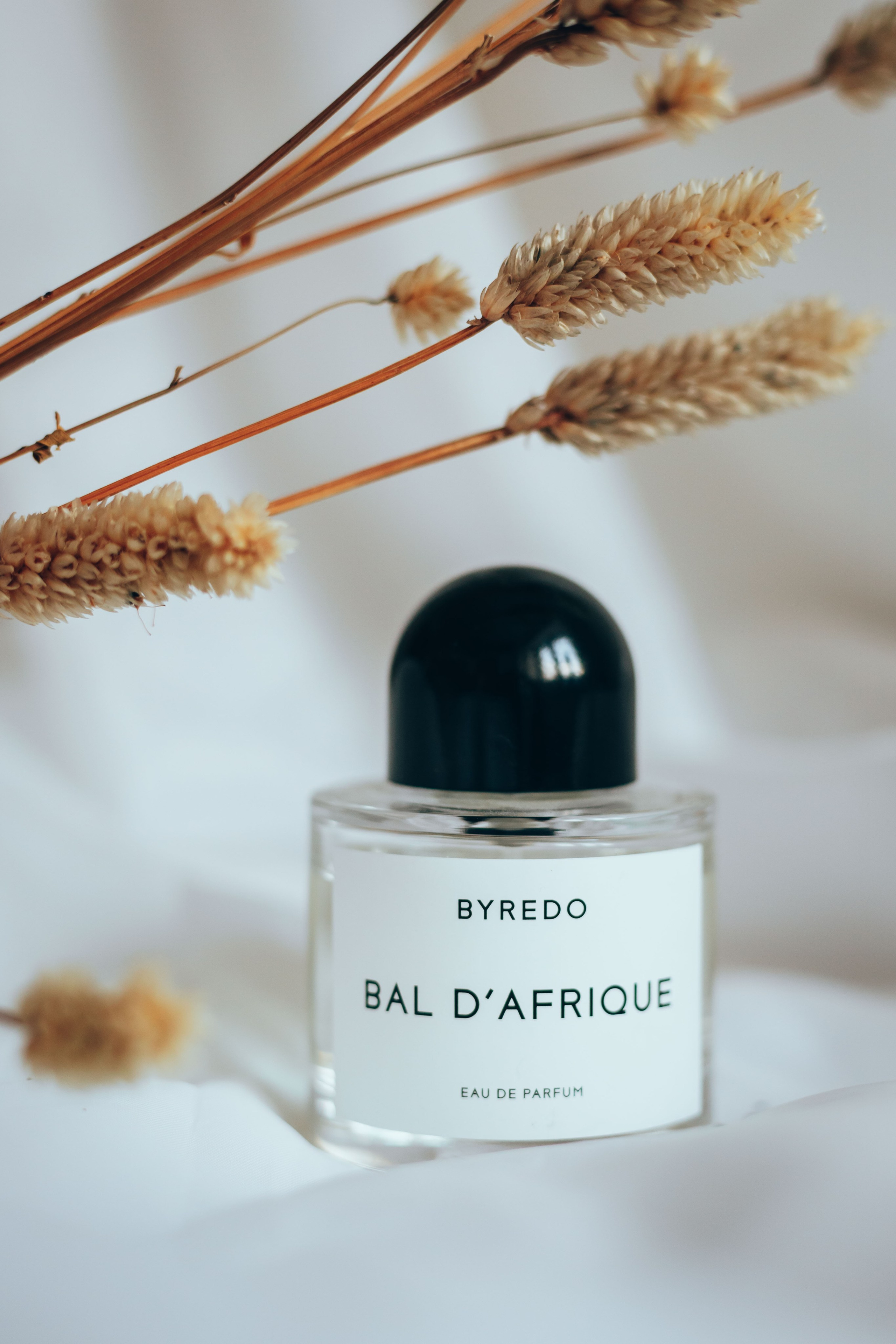 Для Дианны. Семейный и детский фотограф в г. Новосибирске Макеева Анастасия