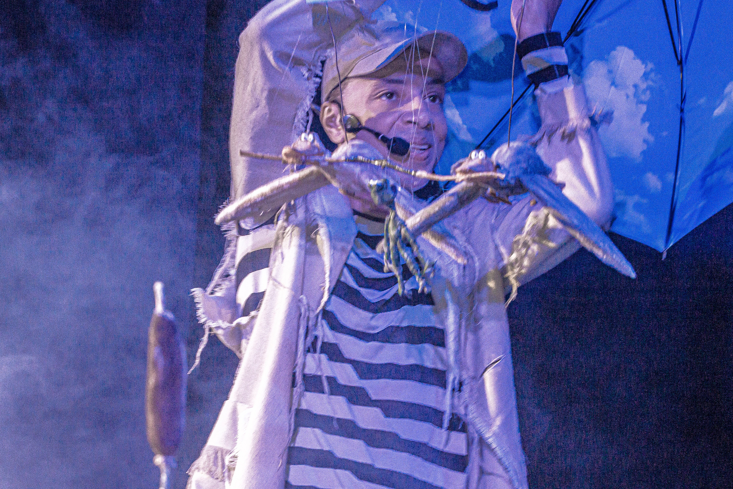 Спектакль театра Саквояж Лягушка путешествиница. Фотограф в Сочи Юрий Шептаев