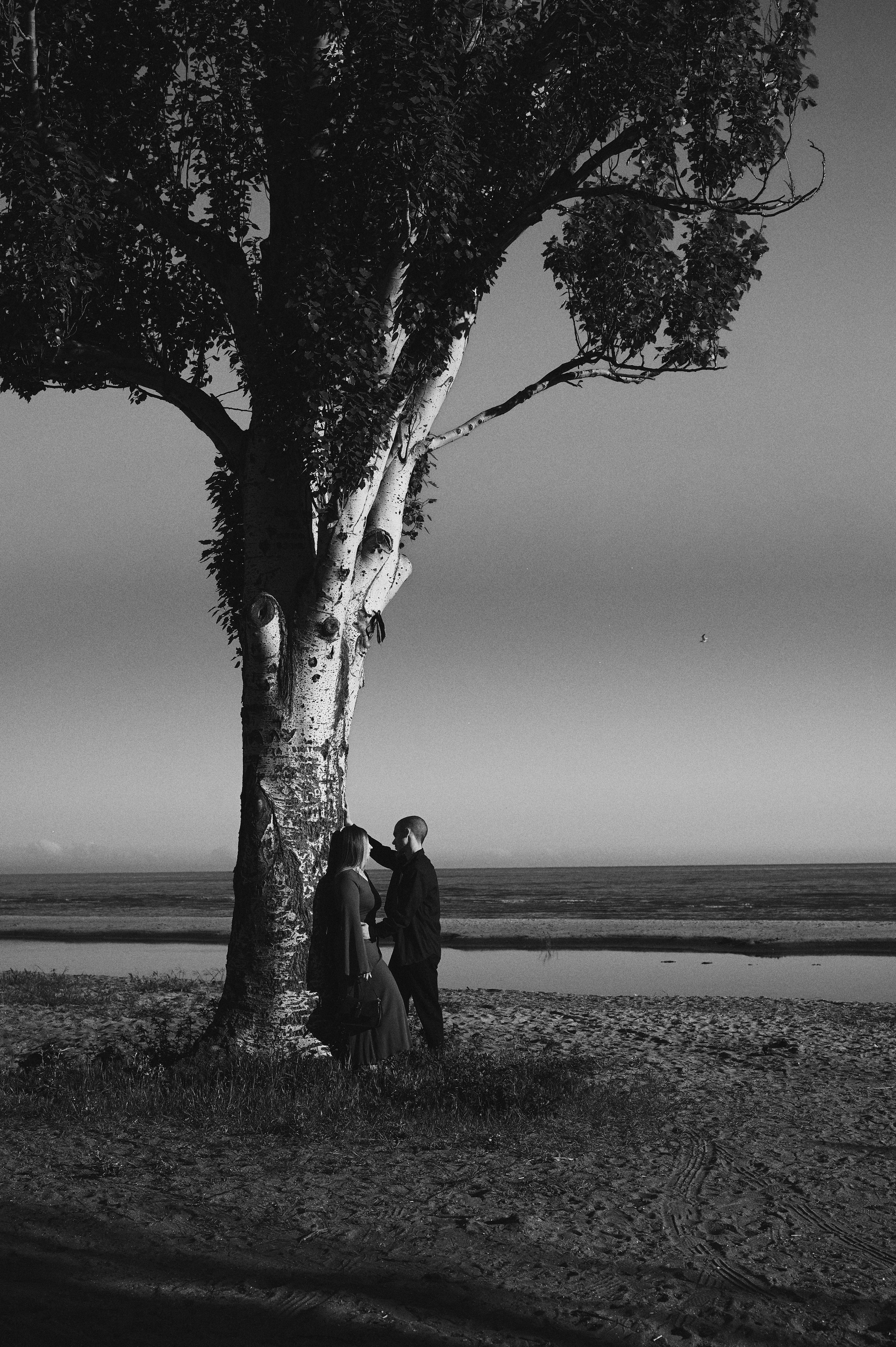 Частные семейные и Love Story съёмки. Фотограф Мариуполь.Свадебные съёмки. Индивидуальные съёмки. Съёмки Love Story