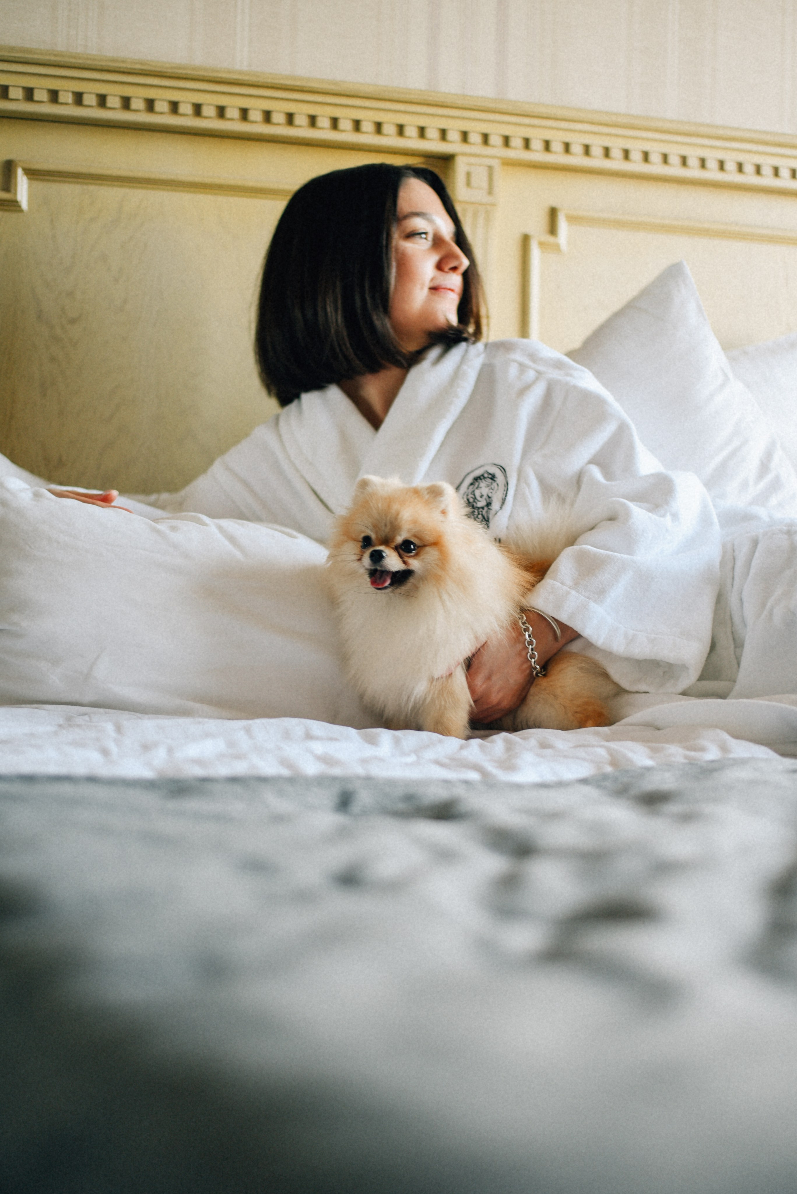 ARBAT HOUSE HOTEL. Фотограф Лола Волна, город Москва