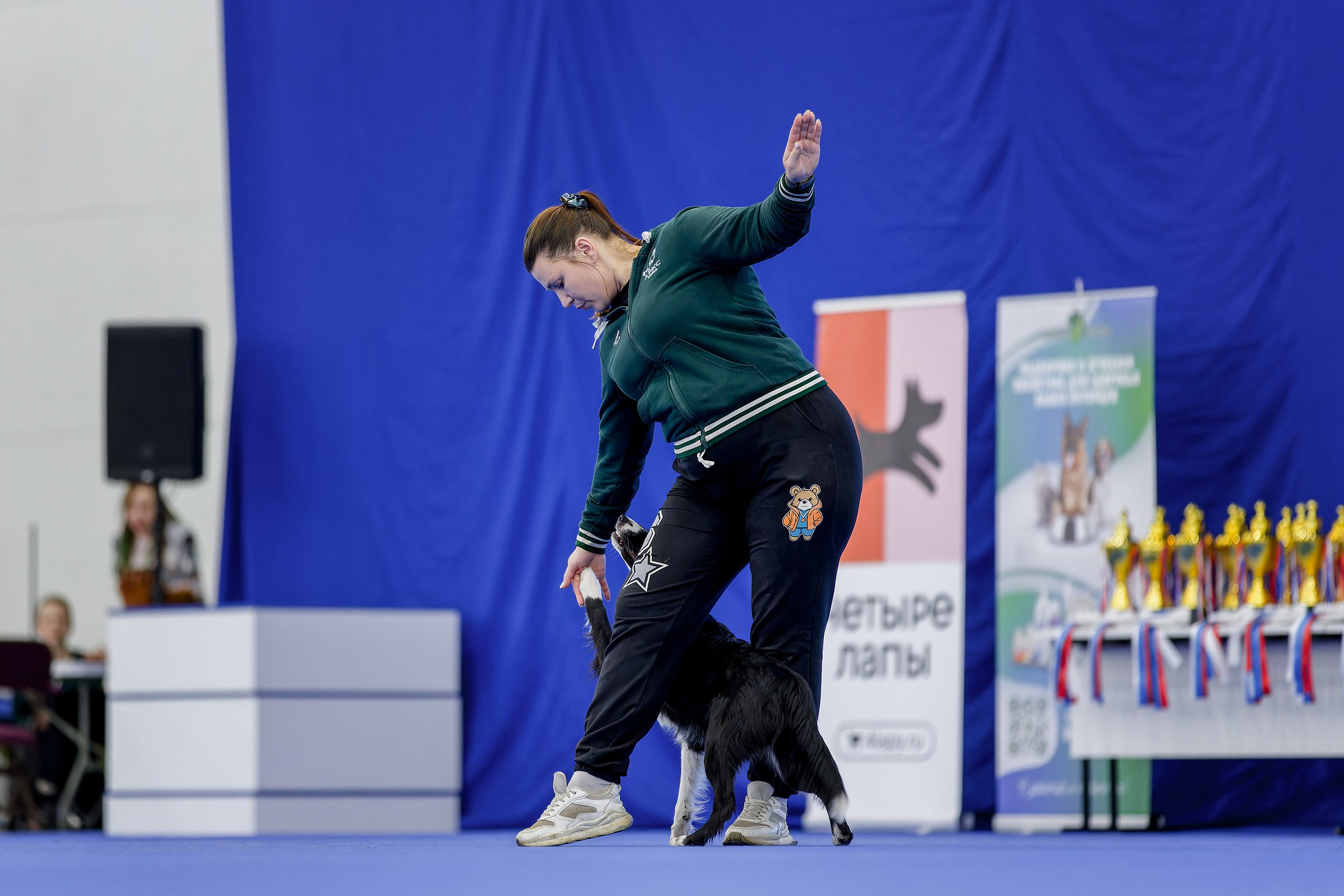 Танцы с собаками. Зоошоу 14.12.2025. Irenephoto.ru