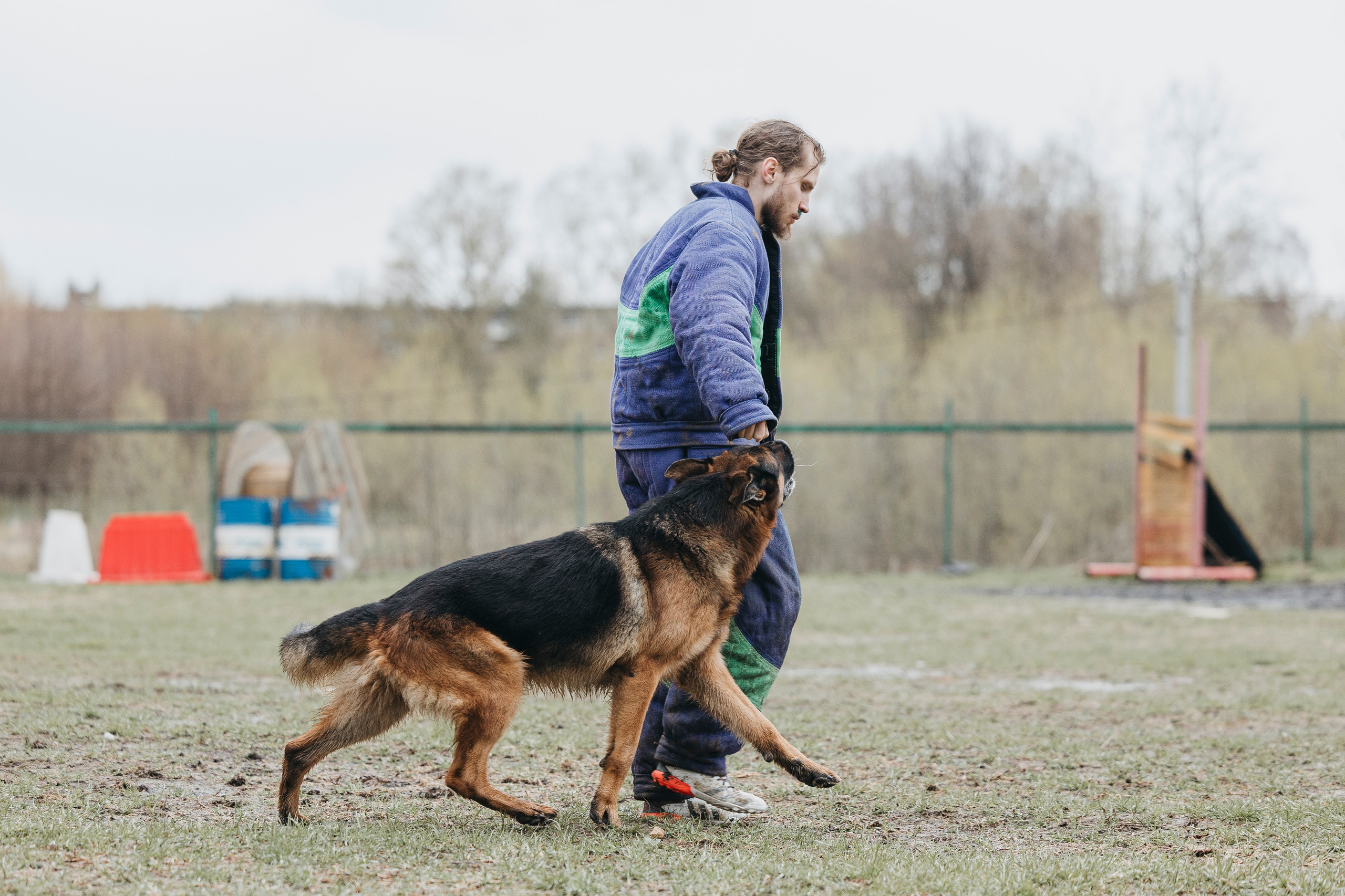 09.05.25 Вологда соревнования. Фотограф-анималист Анна Маринич