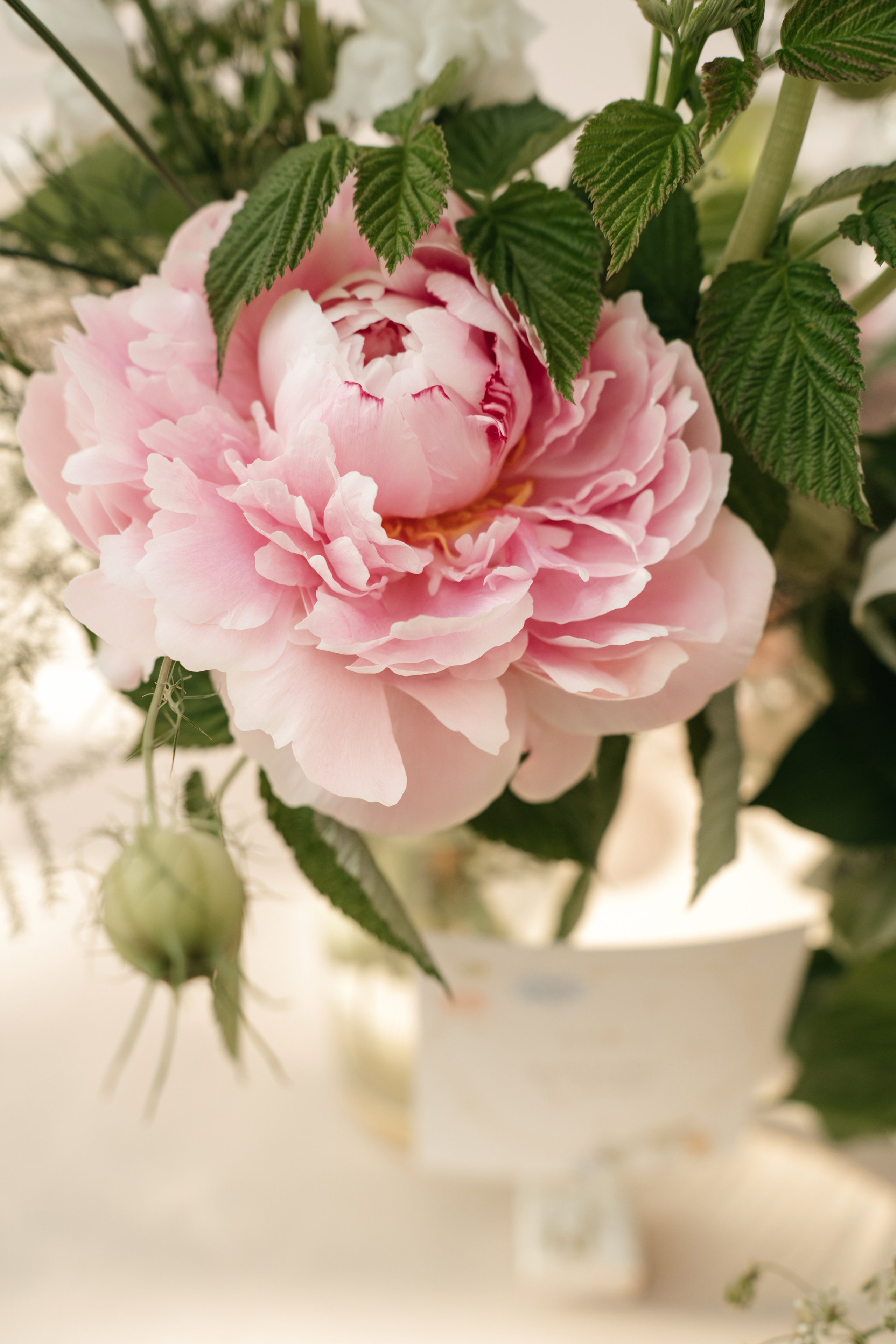 Выпускной 2023, репортаж. Свадебный фотограф Москва Александра Аверкова