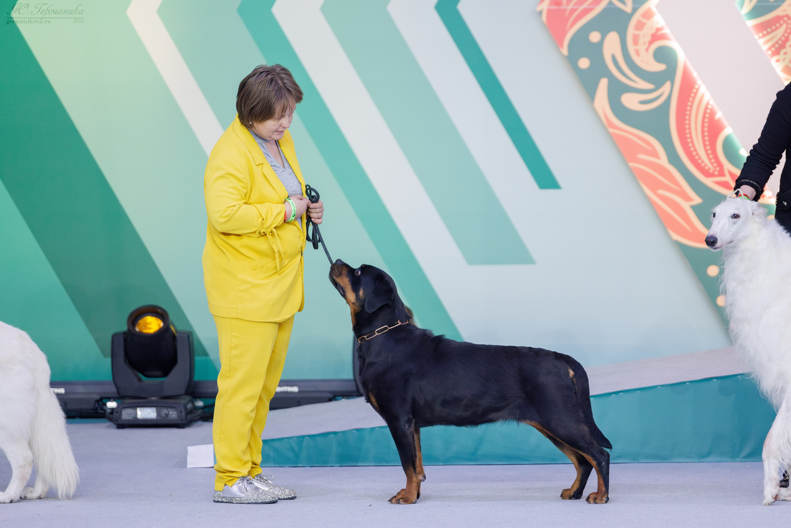 Евразия 16-17.11.2024. Фотограф-анималист Юлия Германика