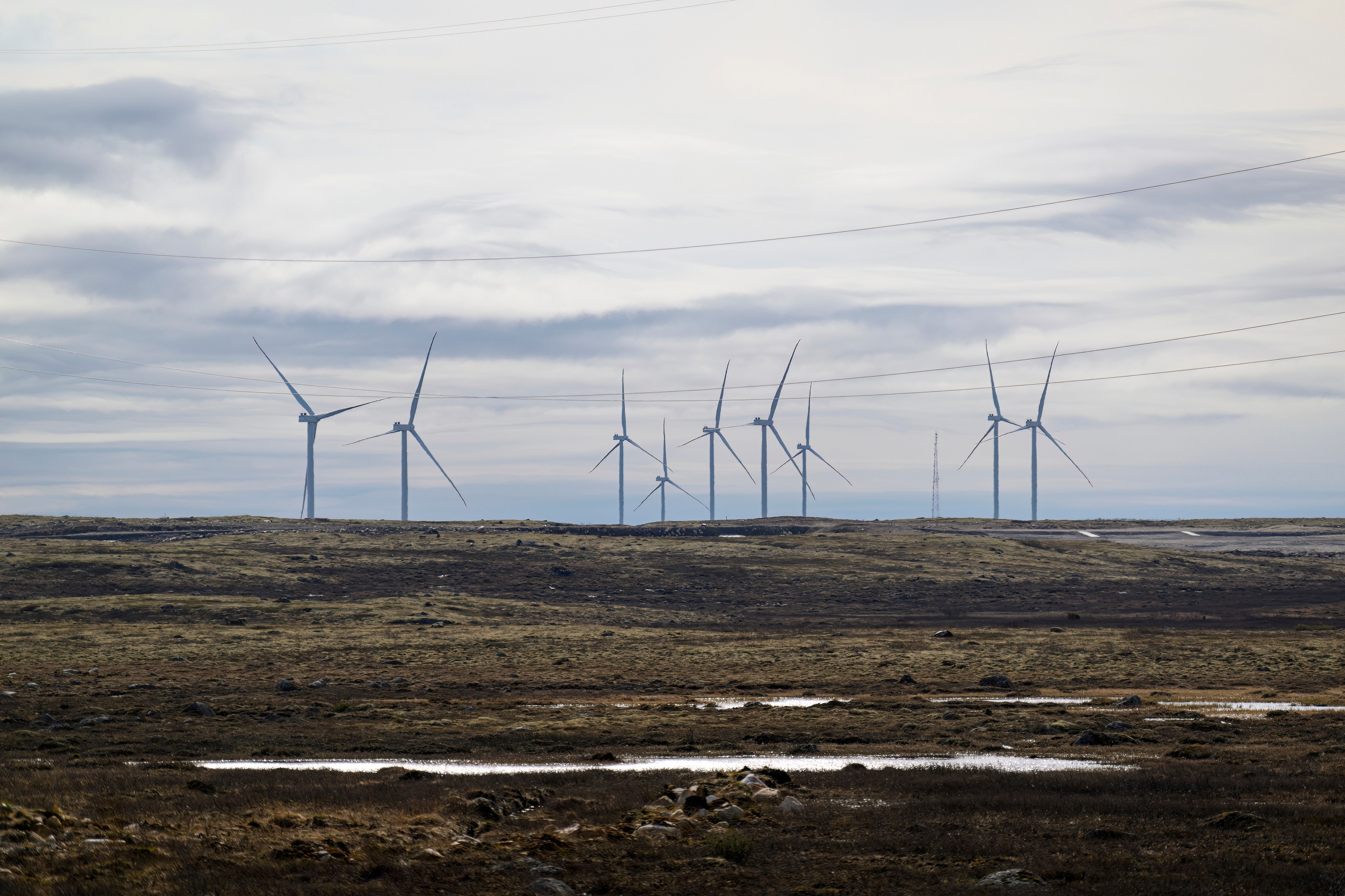 Мурманская область. Июнь 2024. Фотограф Сергей Пупонин