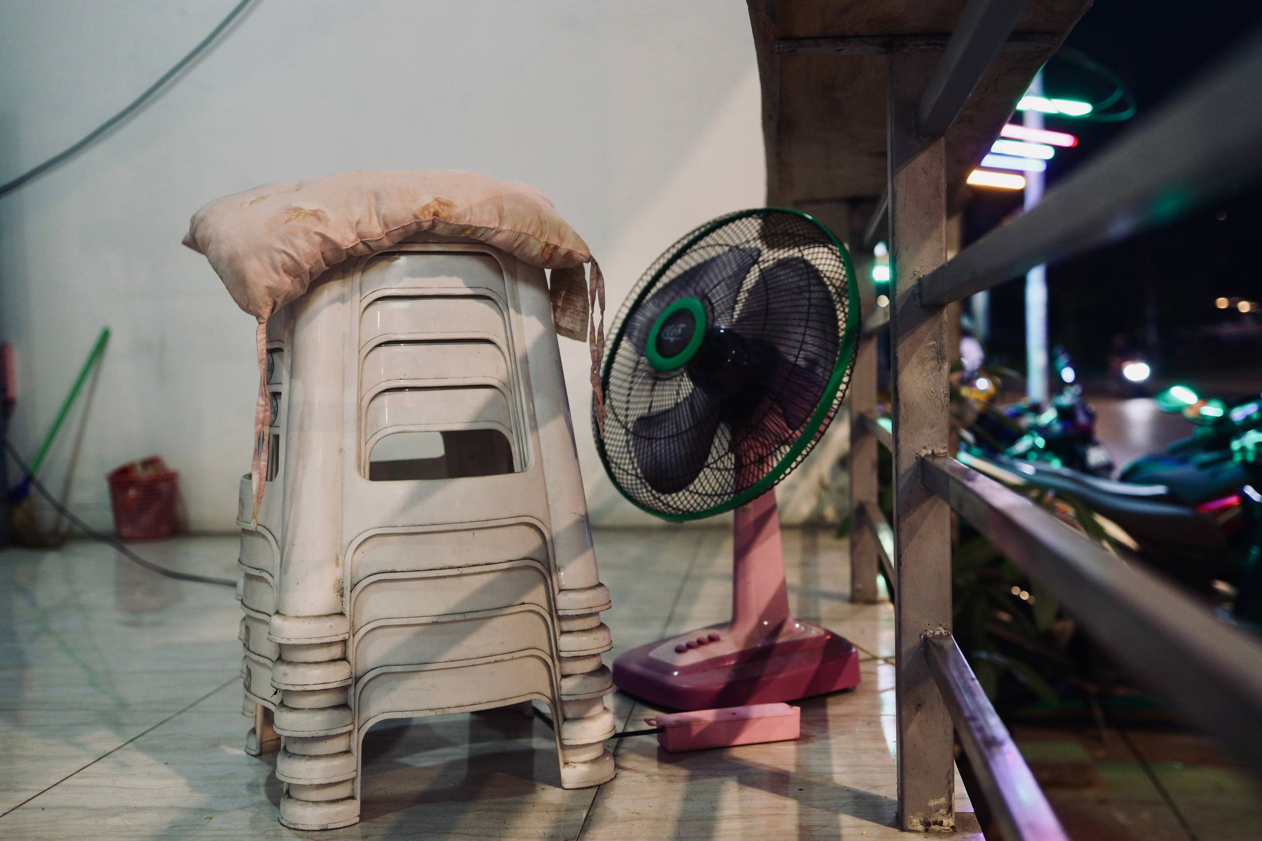 Night inhabitants of Samui Island / Thailand 2024. POLINA MÔMOT