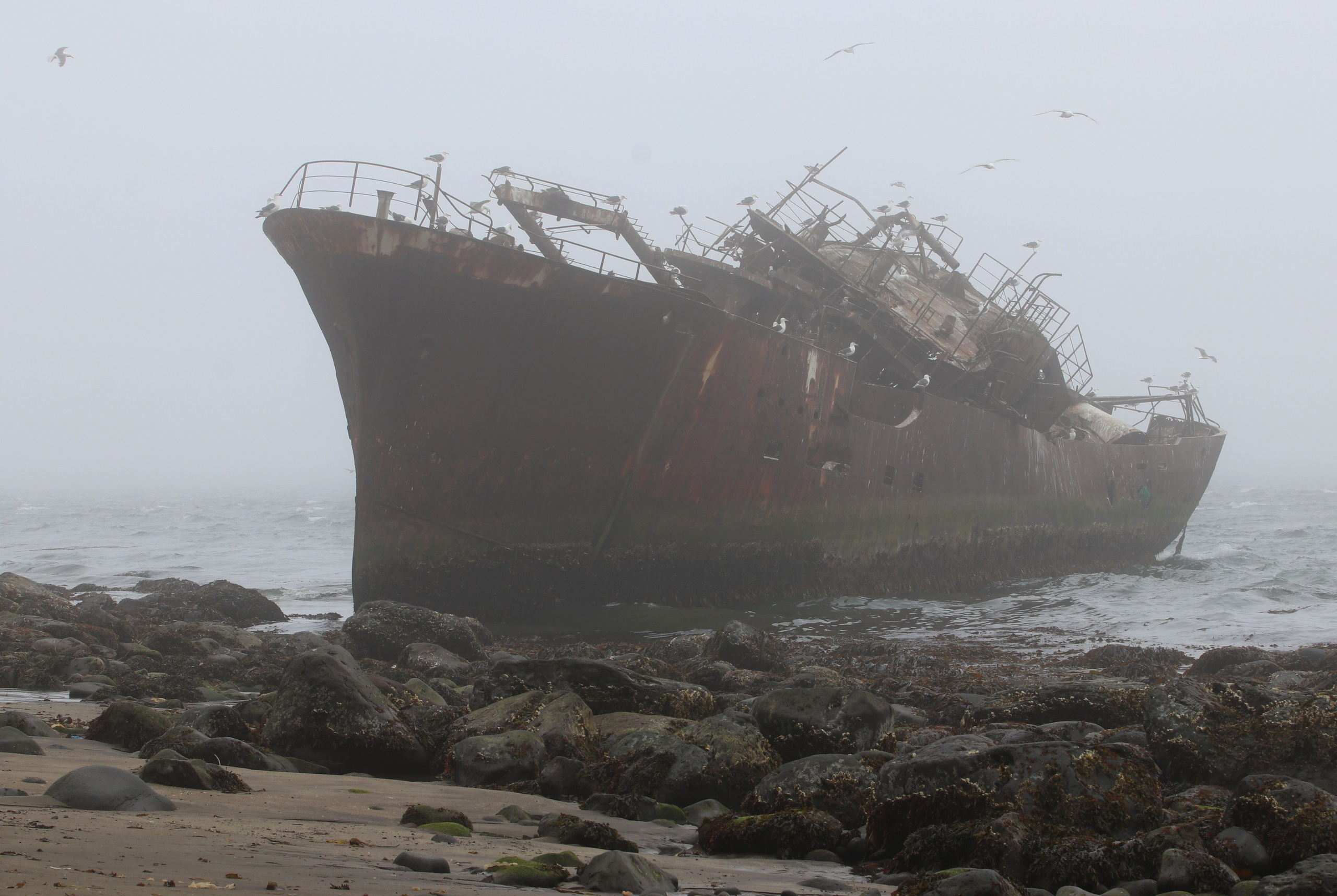 Камчатка и о. Парамушир. Июль 2024. Путешественник-фотограф из Санкт-Петербурга Татьяна Свистулина