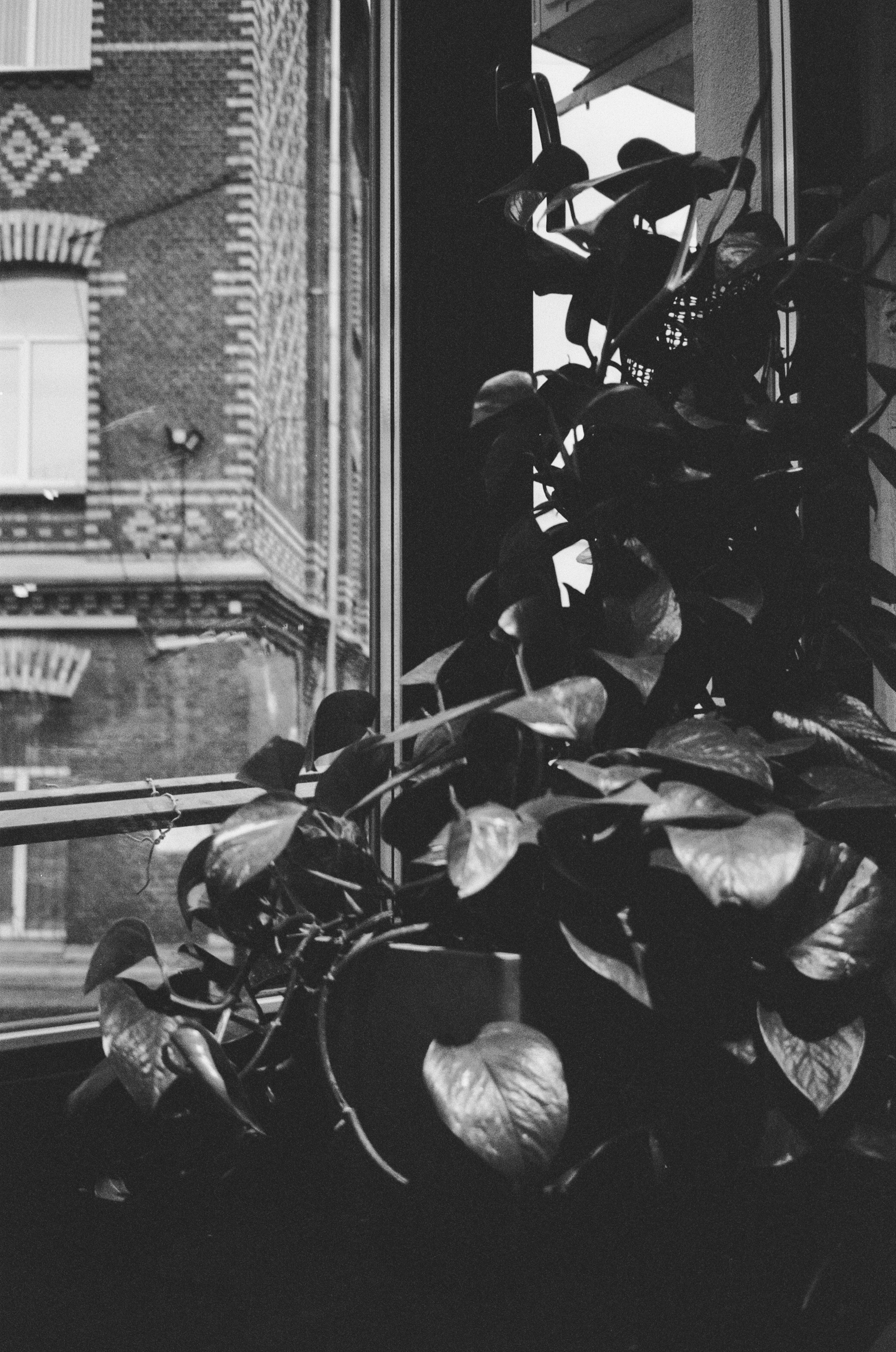 Моссовета, зал имени Чайковского, апрель 2024 г