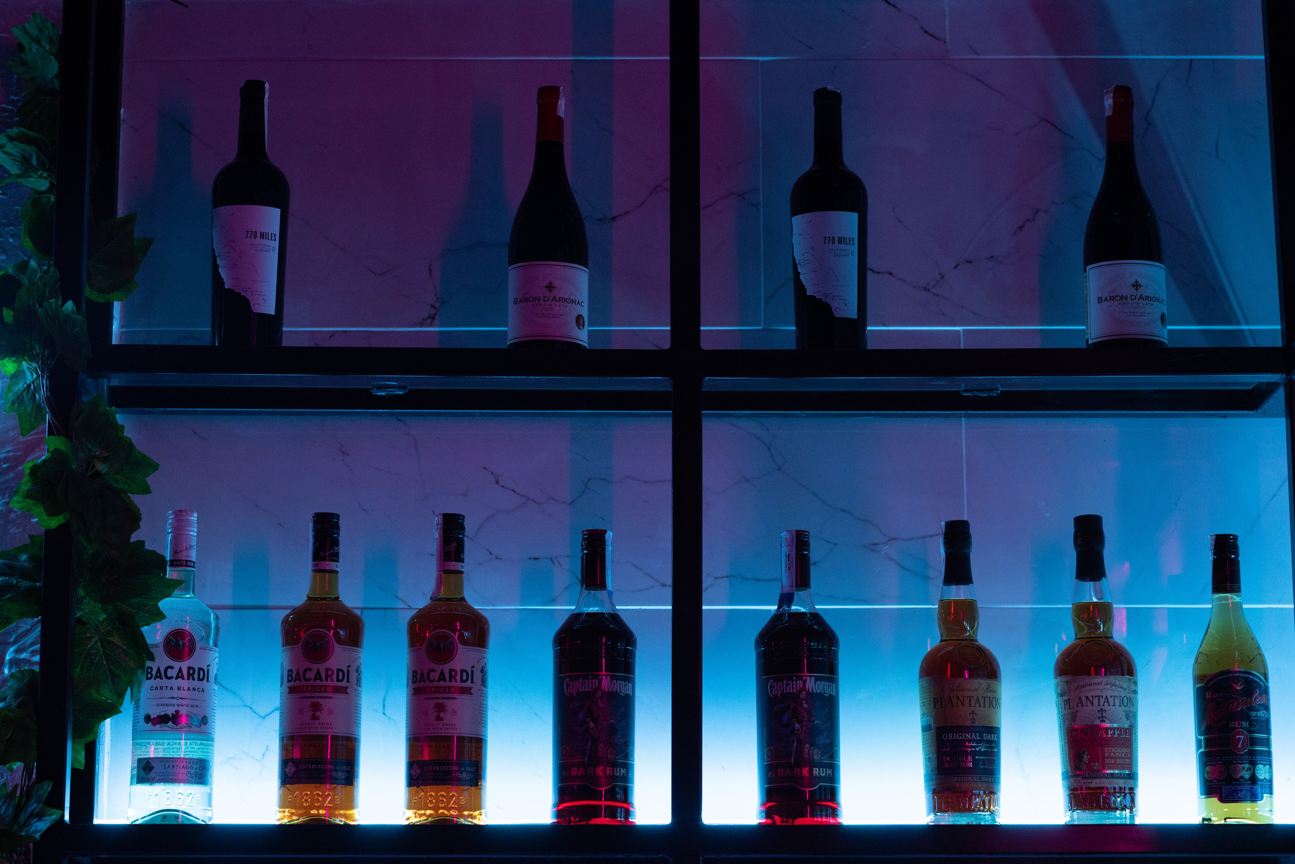 Открытие VICE CITY