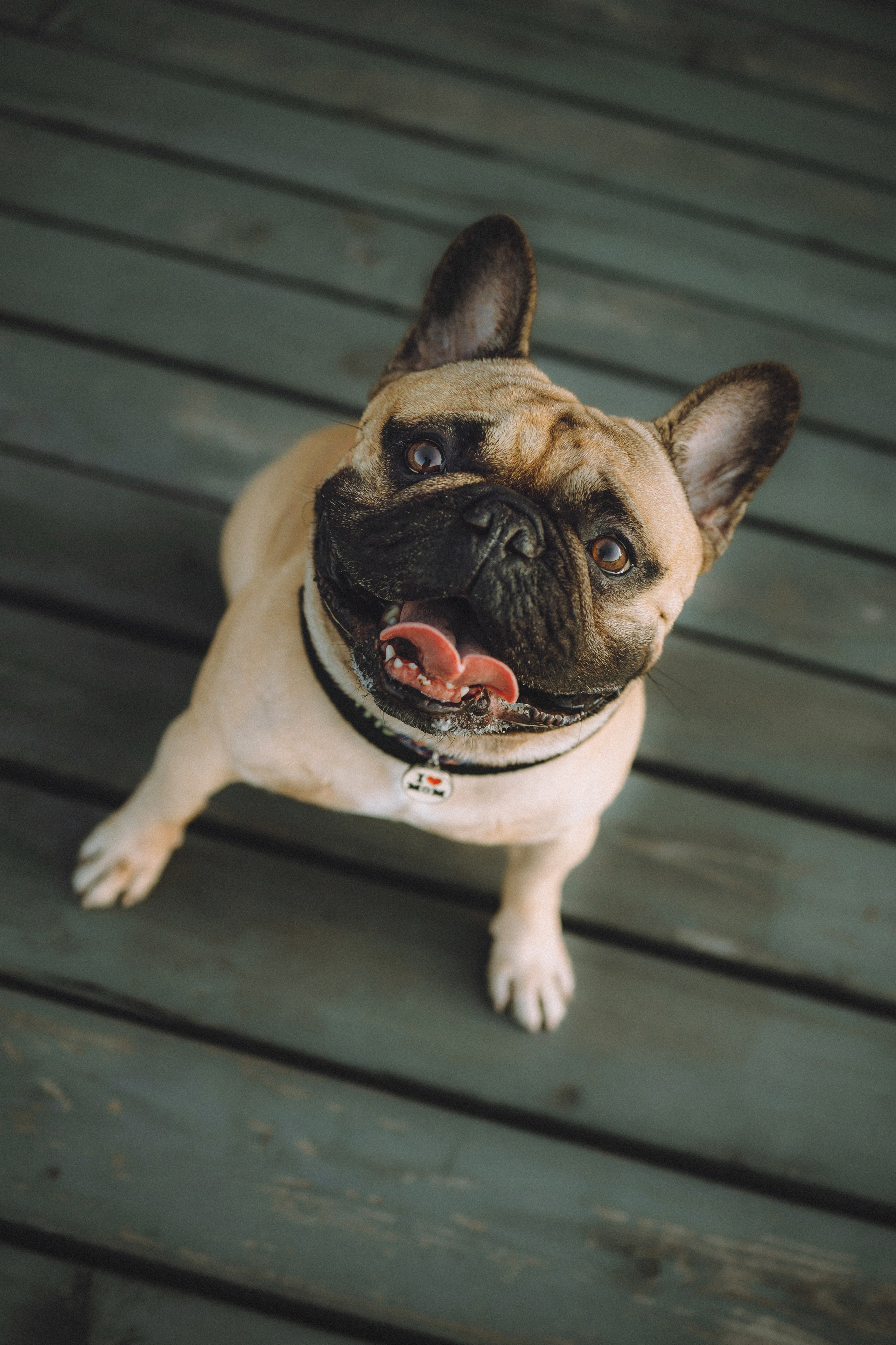 Настя, Женя и Хонор