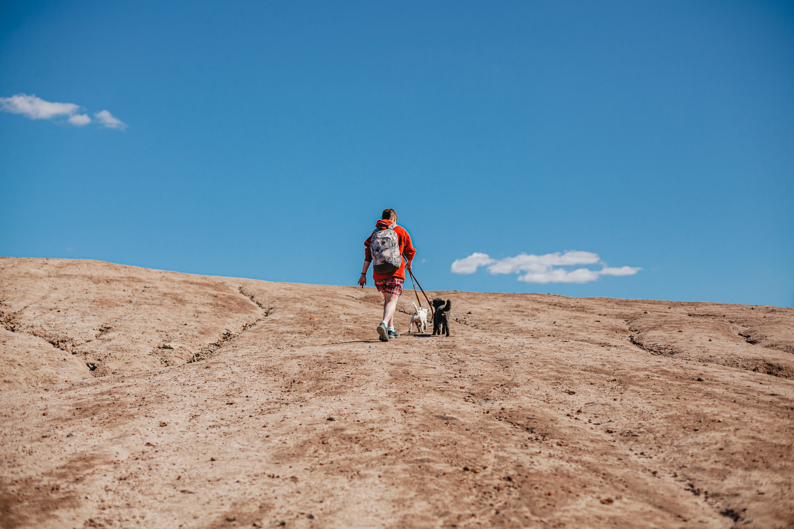 Кондуки. Фотограф-анималист Татьяна Степанова