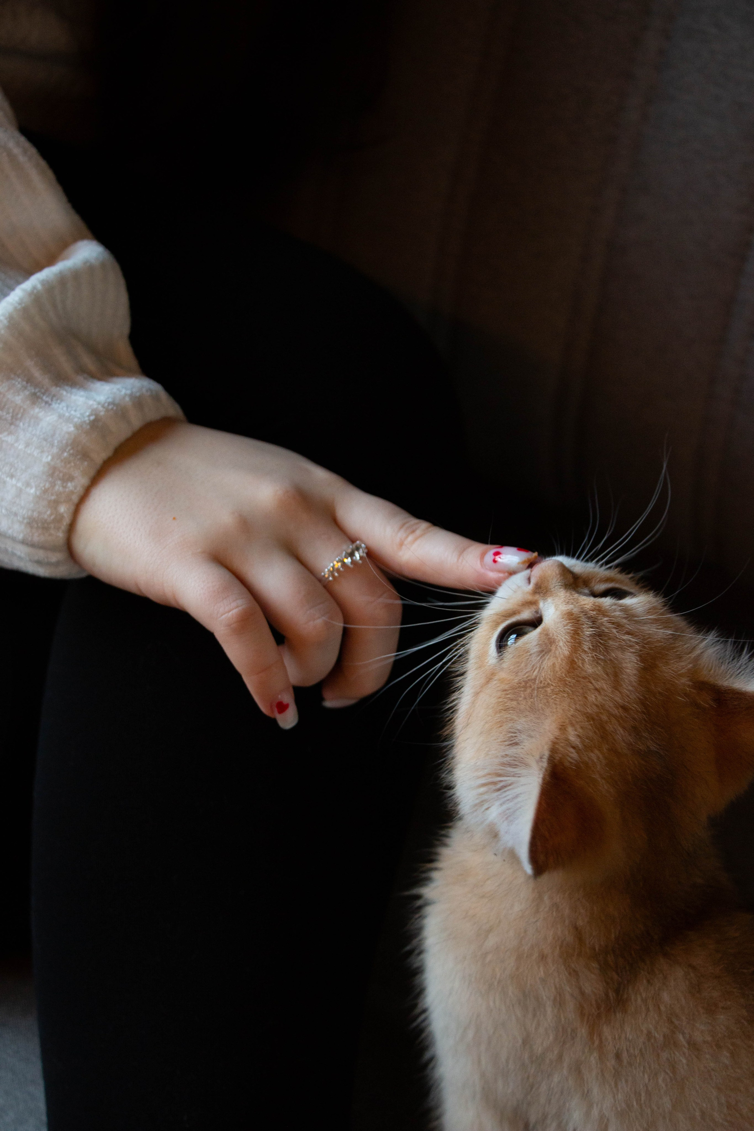 MILANA & RUFUS. Бережно сохраняю ваши чувства и истории на своих фотографиях