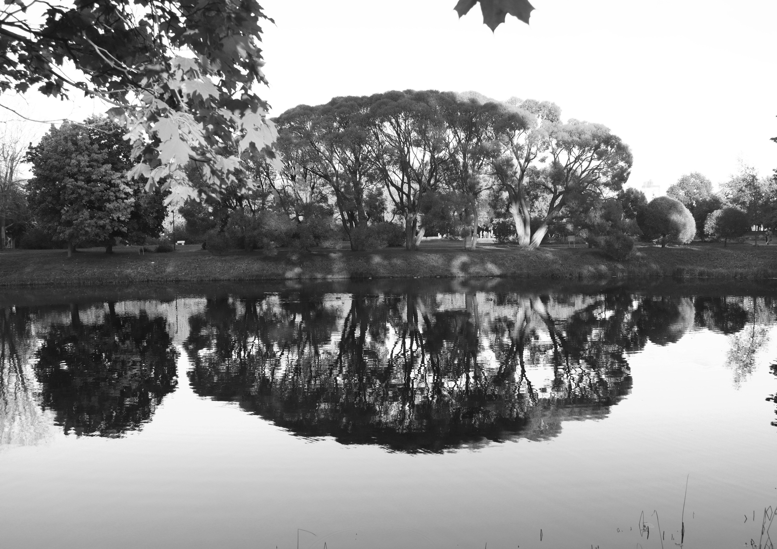 У воды. Главная