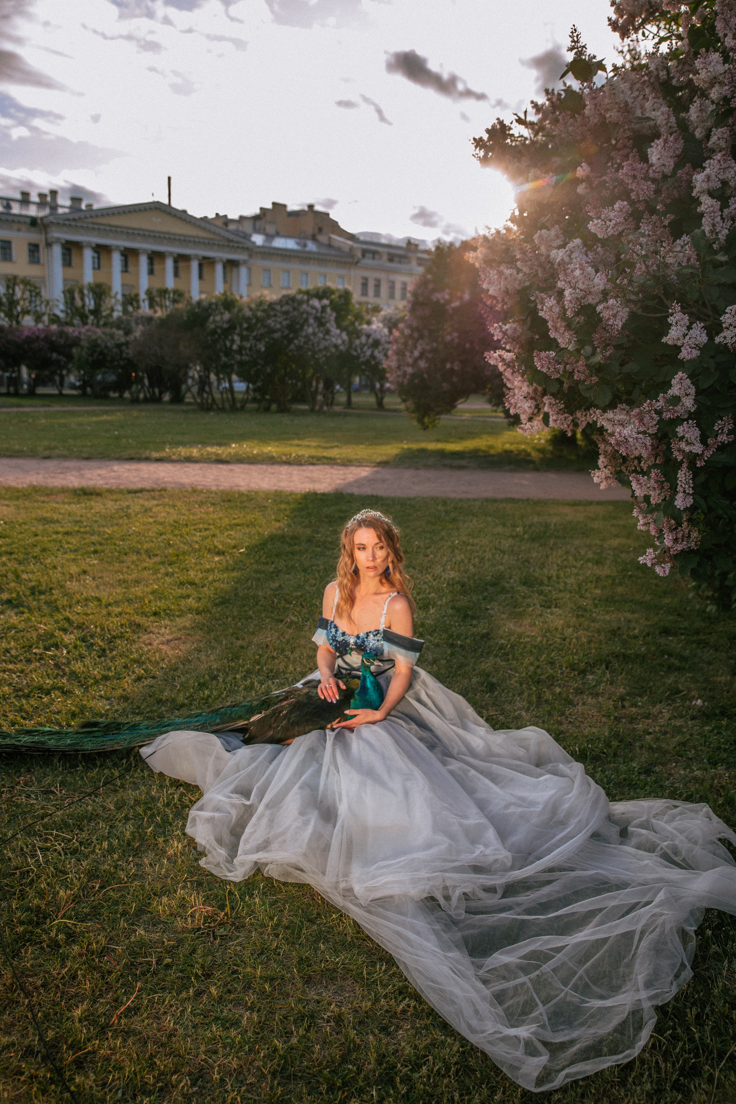 Павлин. Elena Sova — семейный и женский фотограф в Санкт-Петербурге