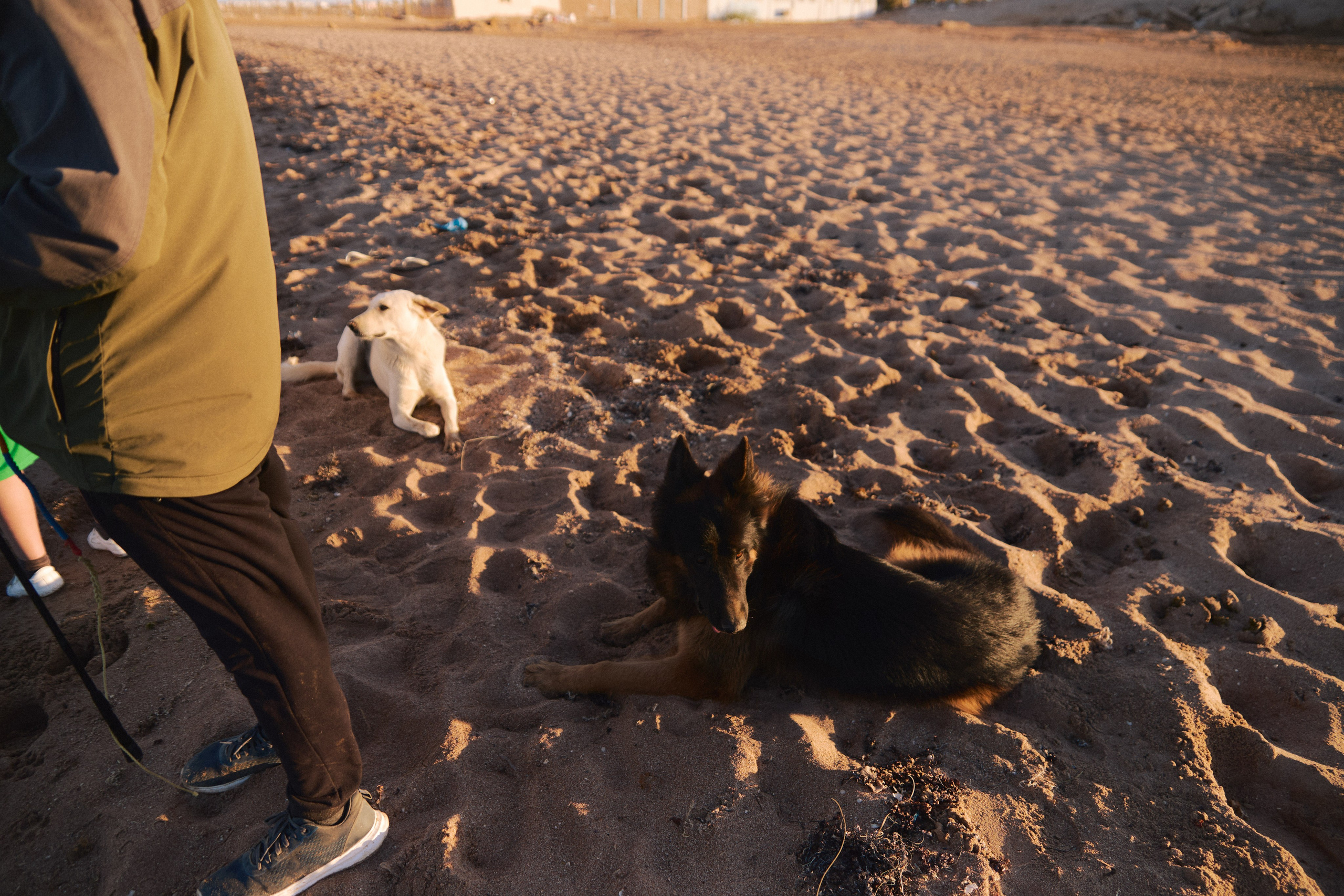 Улица горизонтальная. Jorgis — фотограф в Хургаде / обучение фотографии