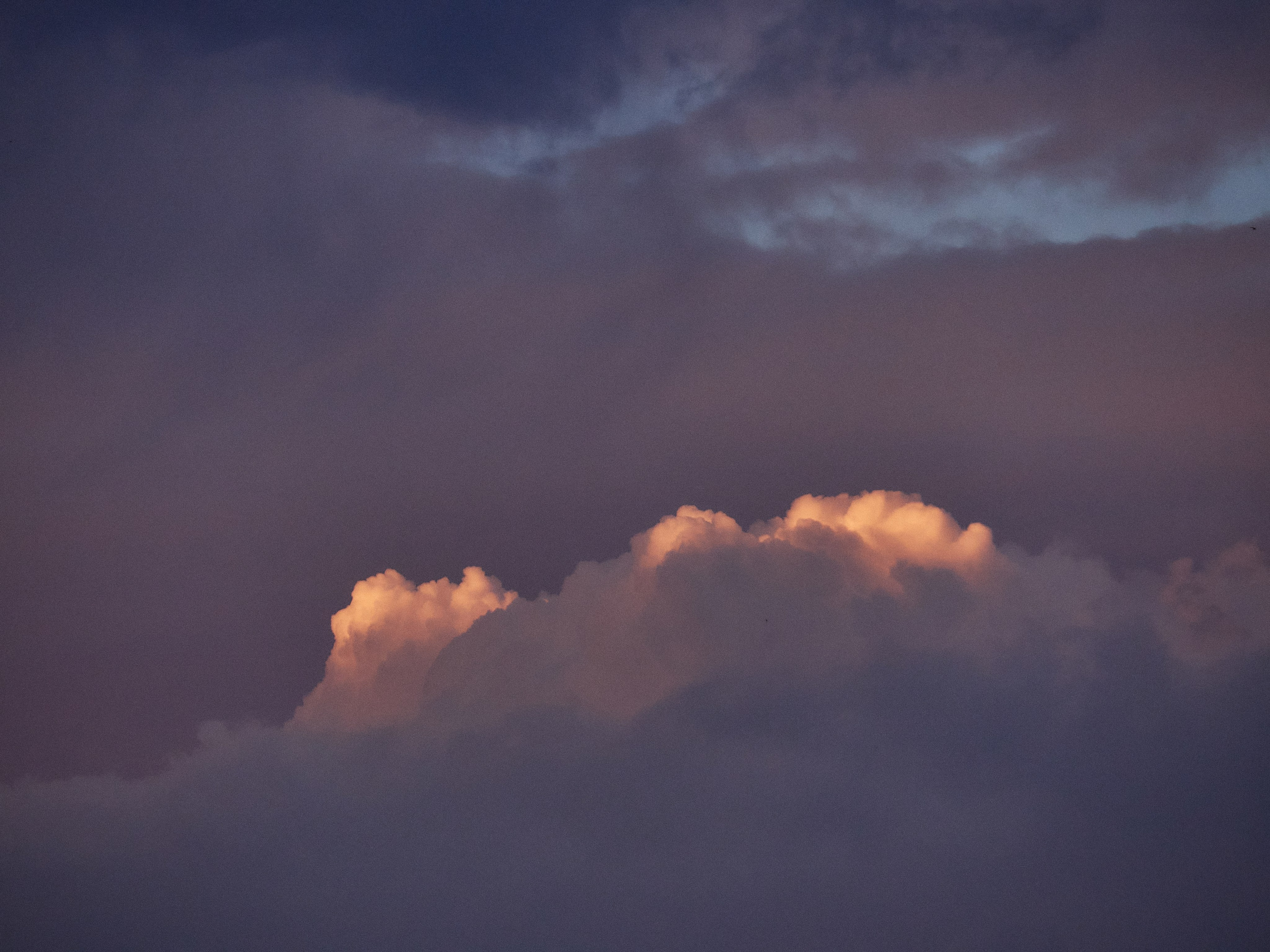 Сайт в процессе разработки