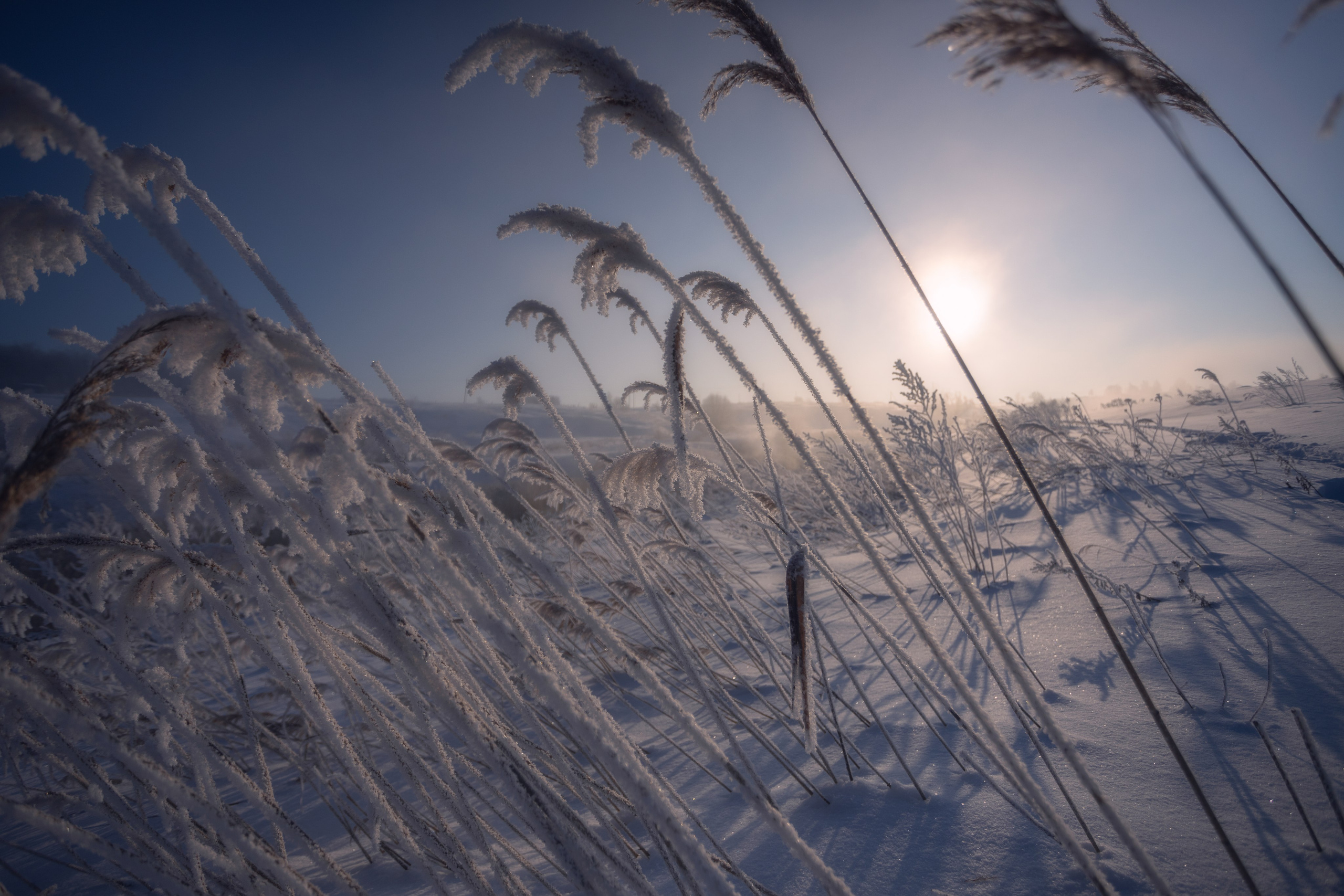 Ручей Деготня. Николай Брытков — фотограф в Туле