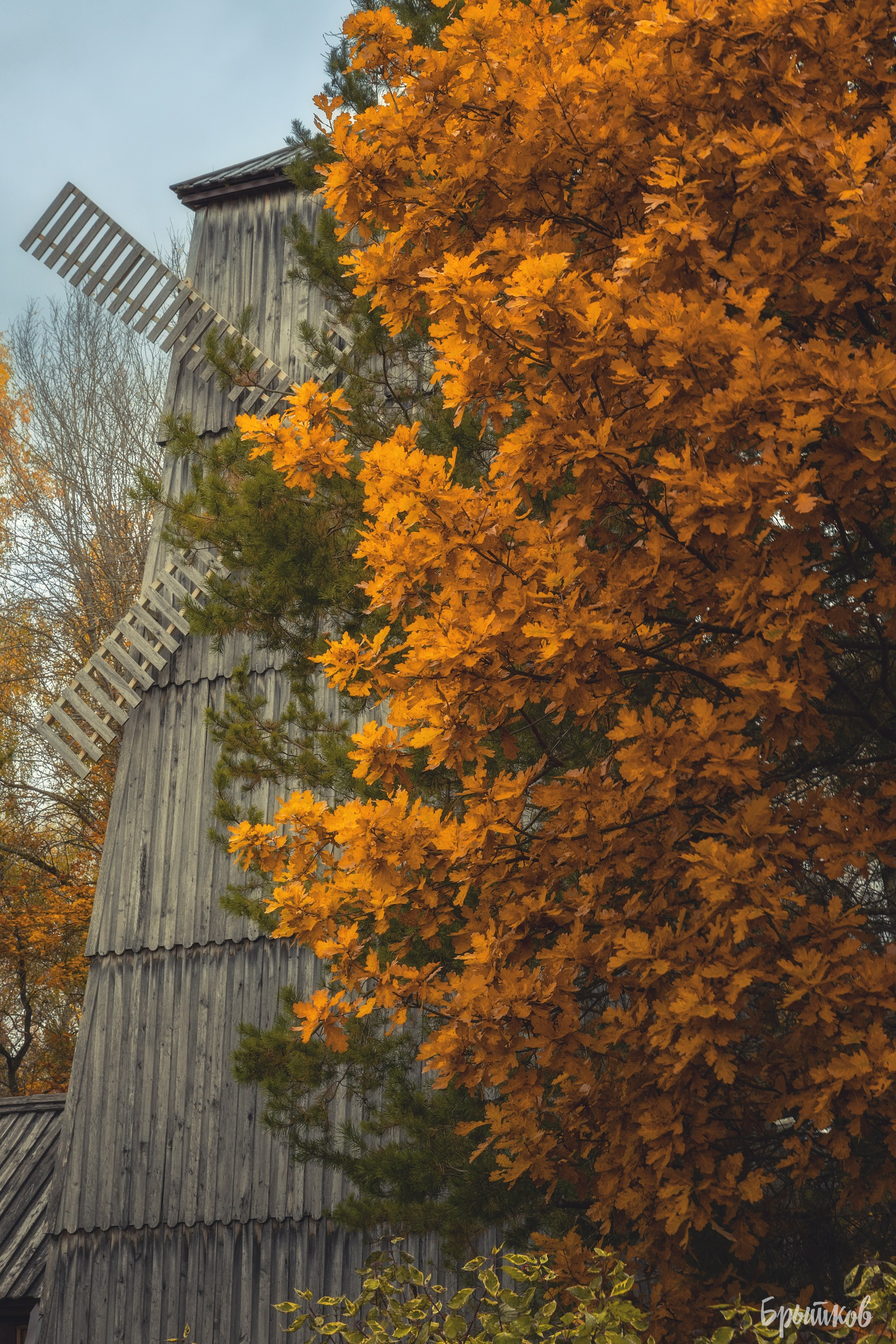 Поленово. Николай Брытков — фотограф в Туле