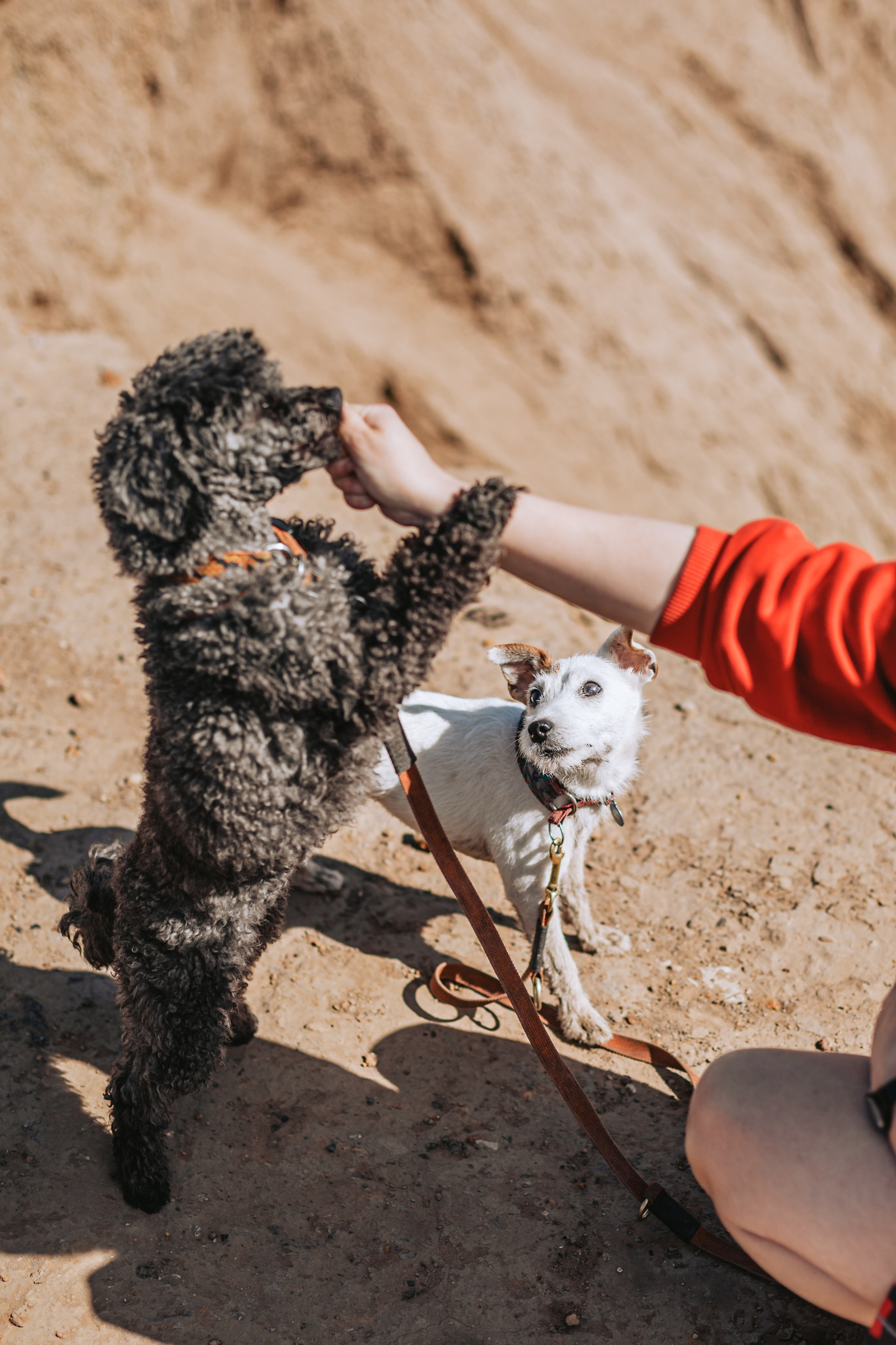 Кондуки. Фотограф-анималист Татьяна Степанова