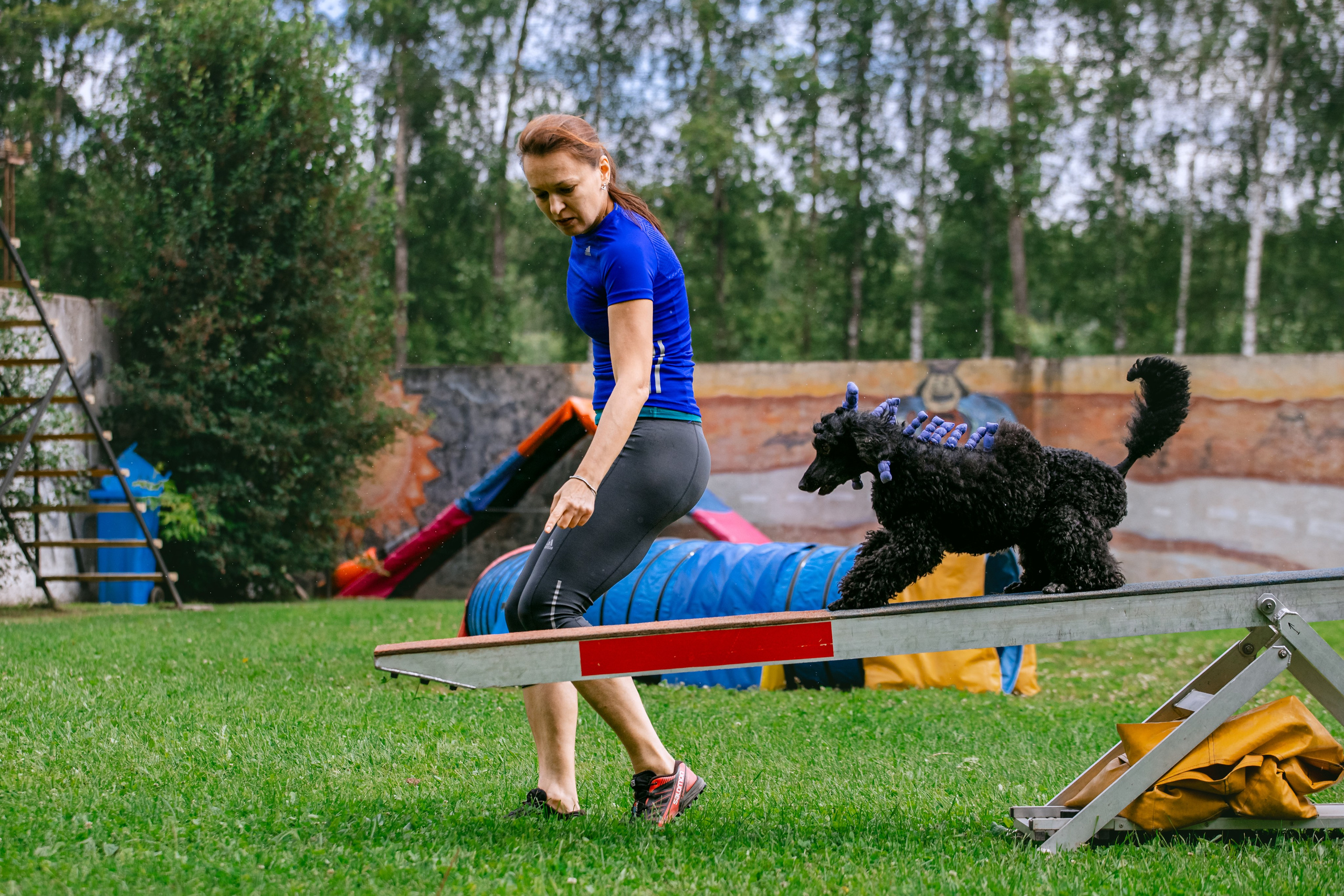 Соревнования по аджилити Долгопрудный 30.06.2025. Фотограф-анималист Татьяна Степанова