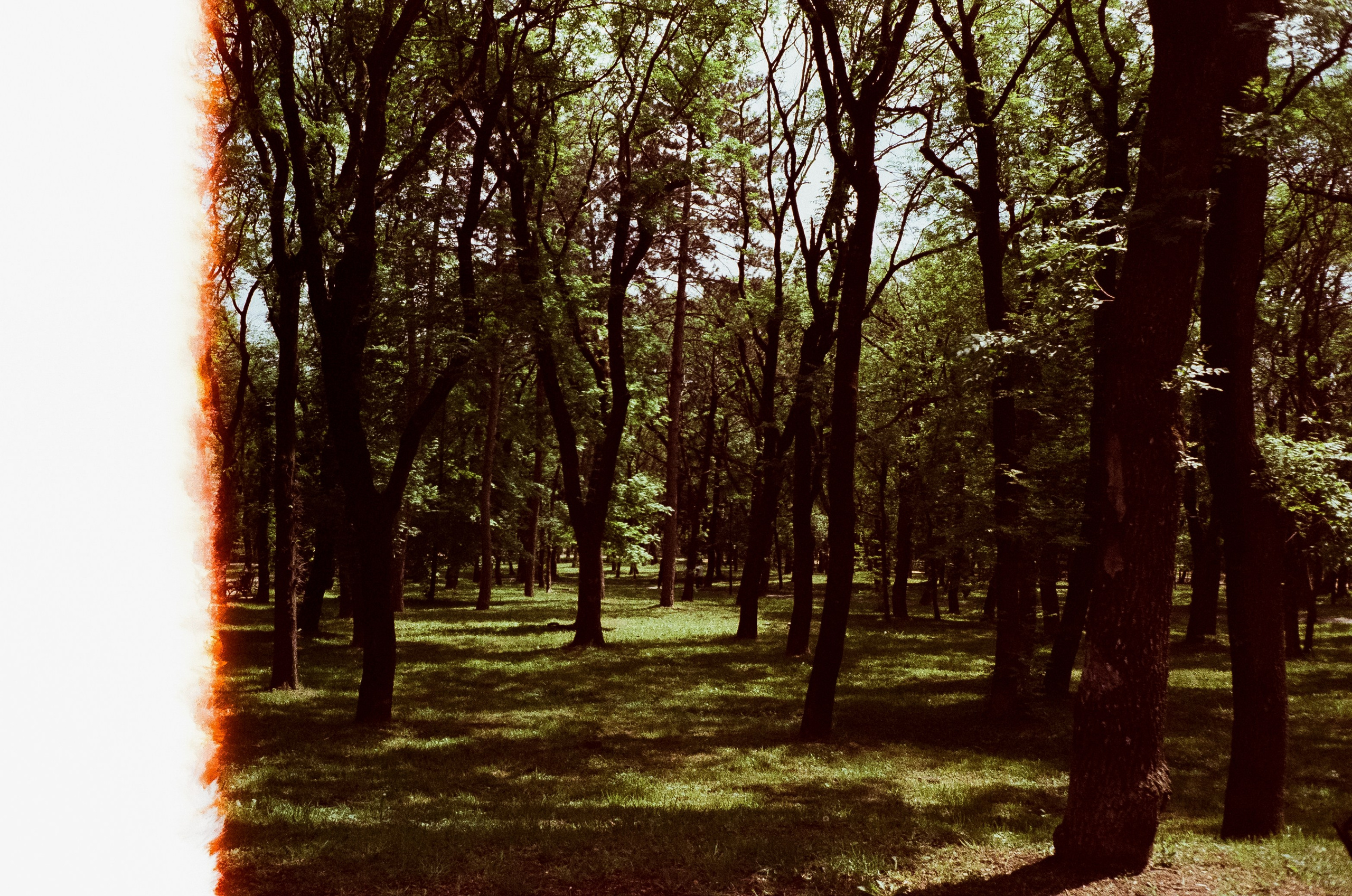 Ессентуки прогулка по городу / Minox 35GT / Agfa Vista 400 (просрочка)