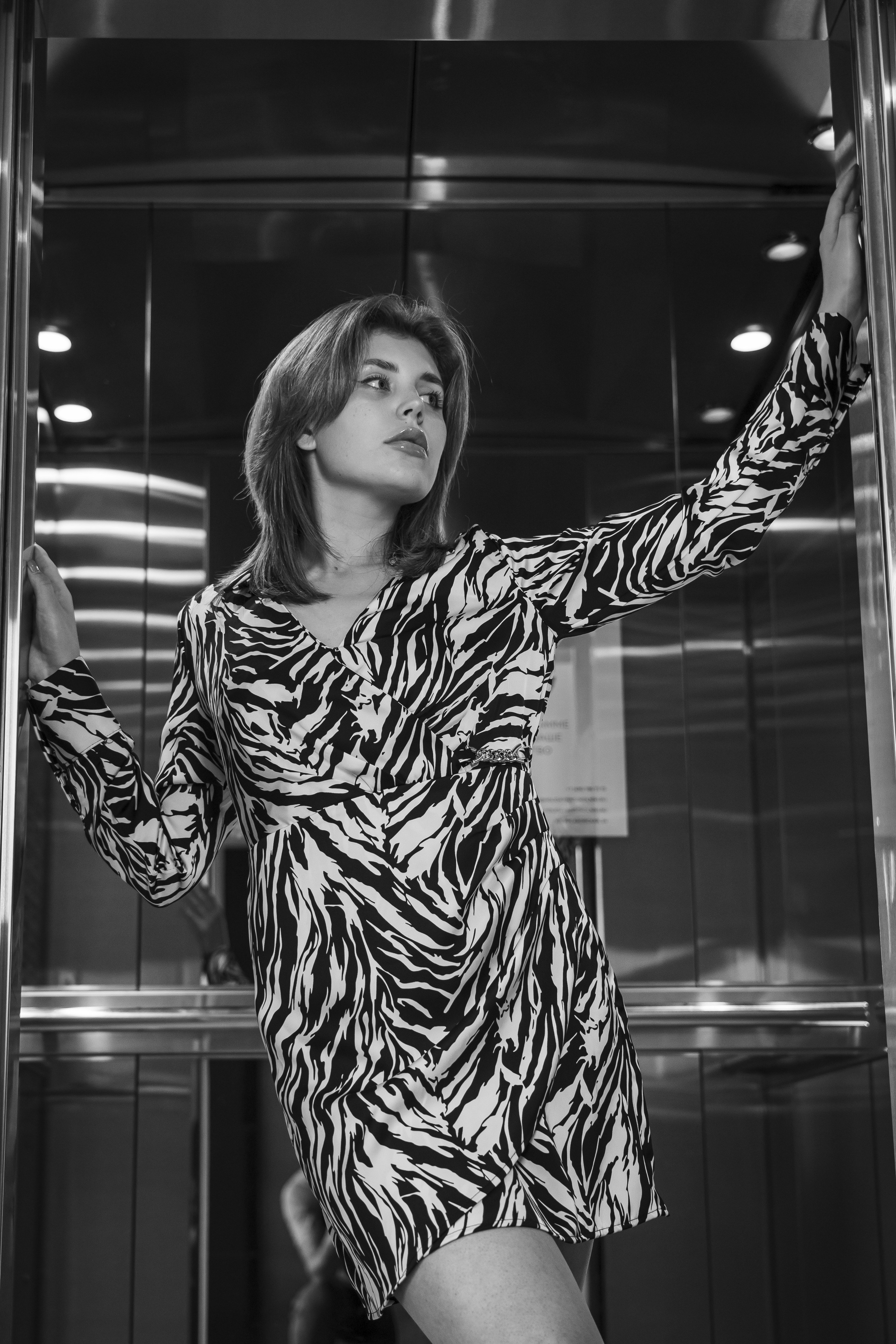 В помещении. Photomantis