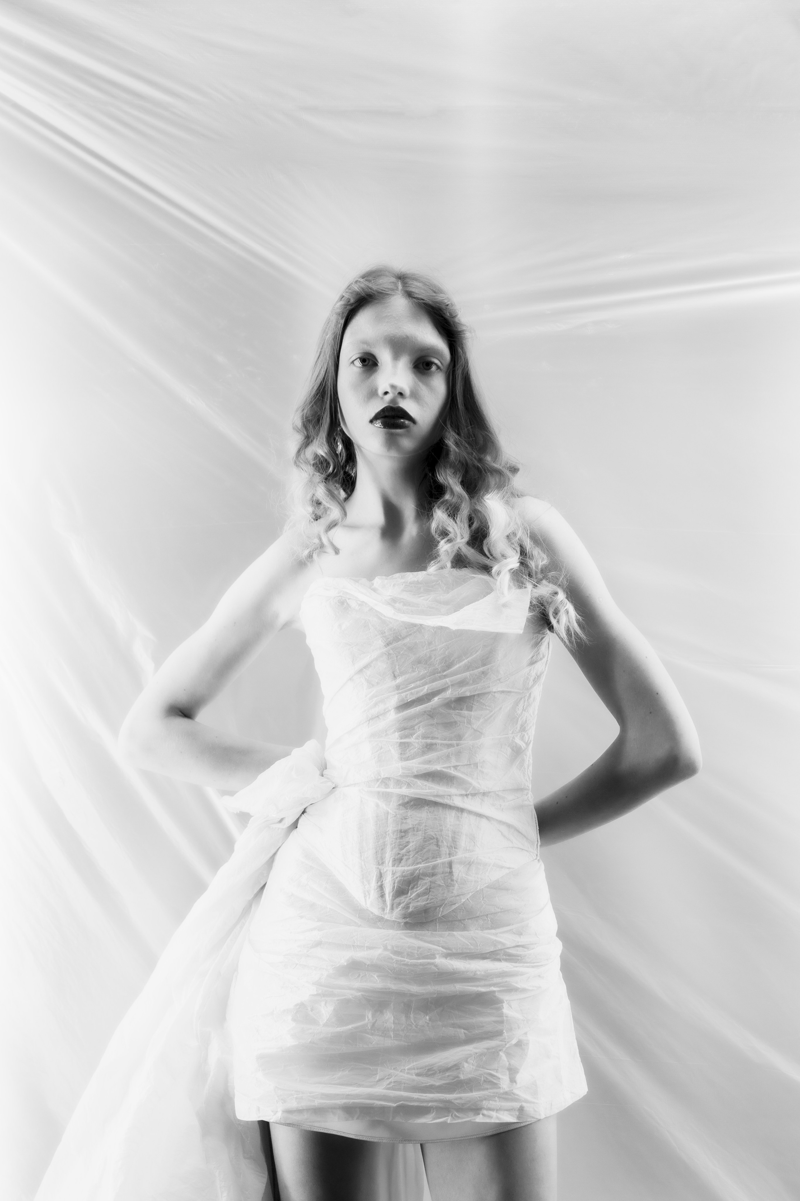 Студийная фотосъёмка. Photomantis