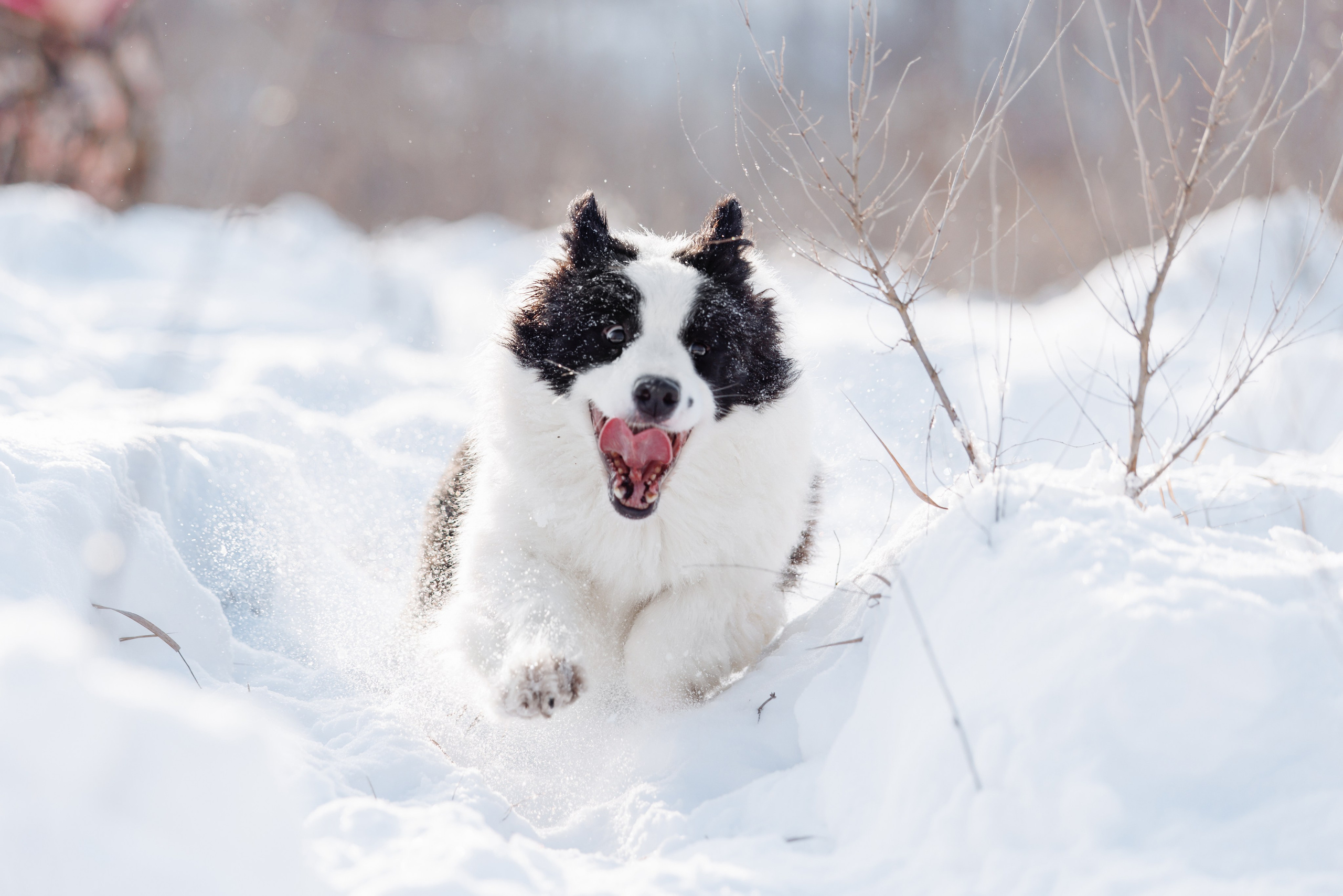 Яркий январь. О нас