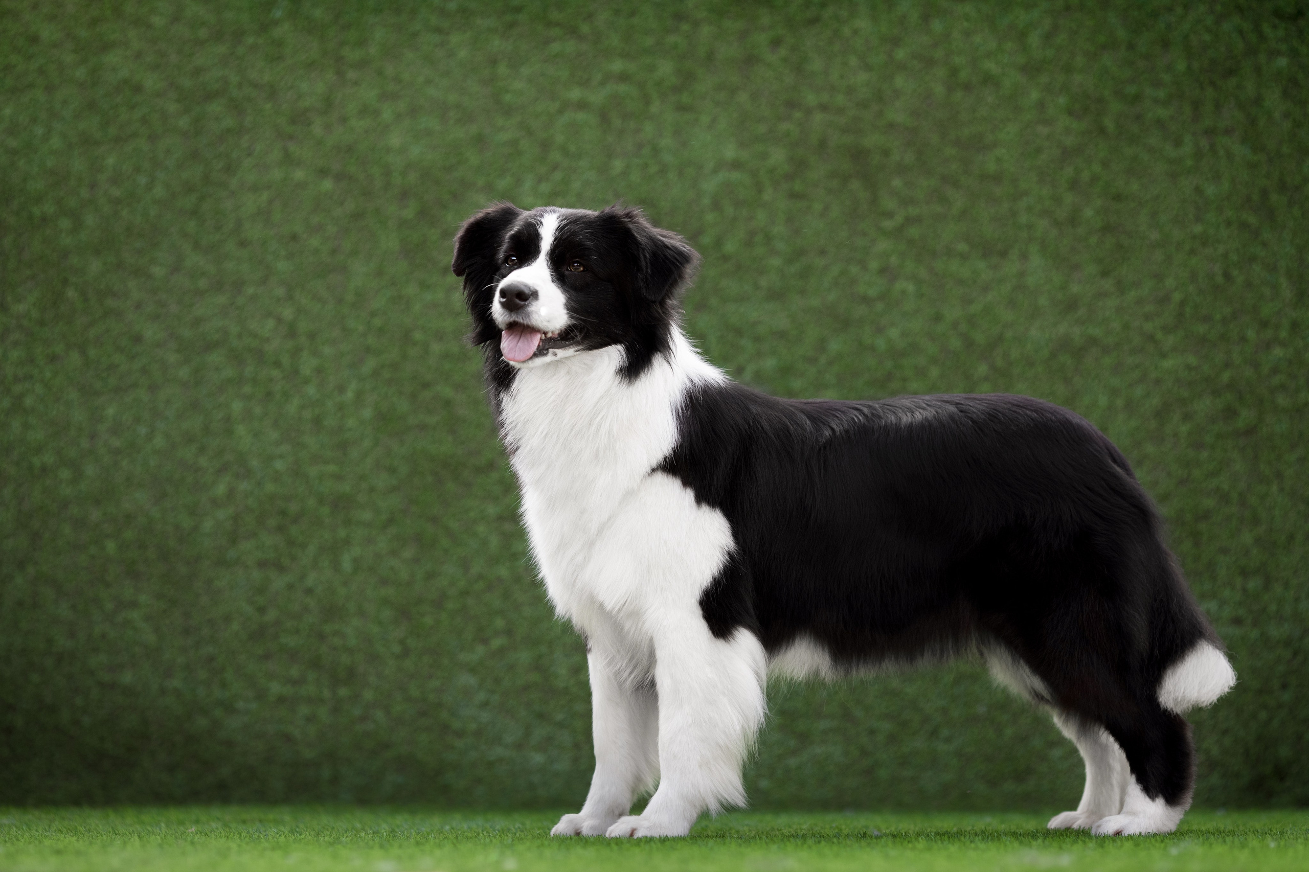 Роскошь в ростошах. О нас