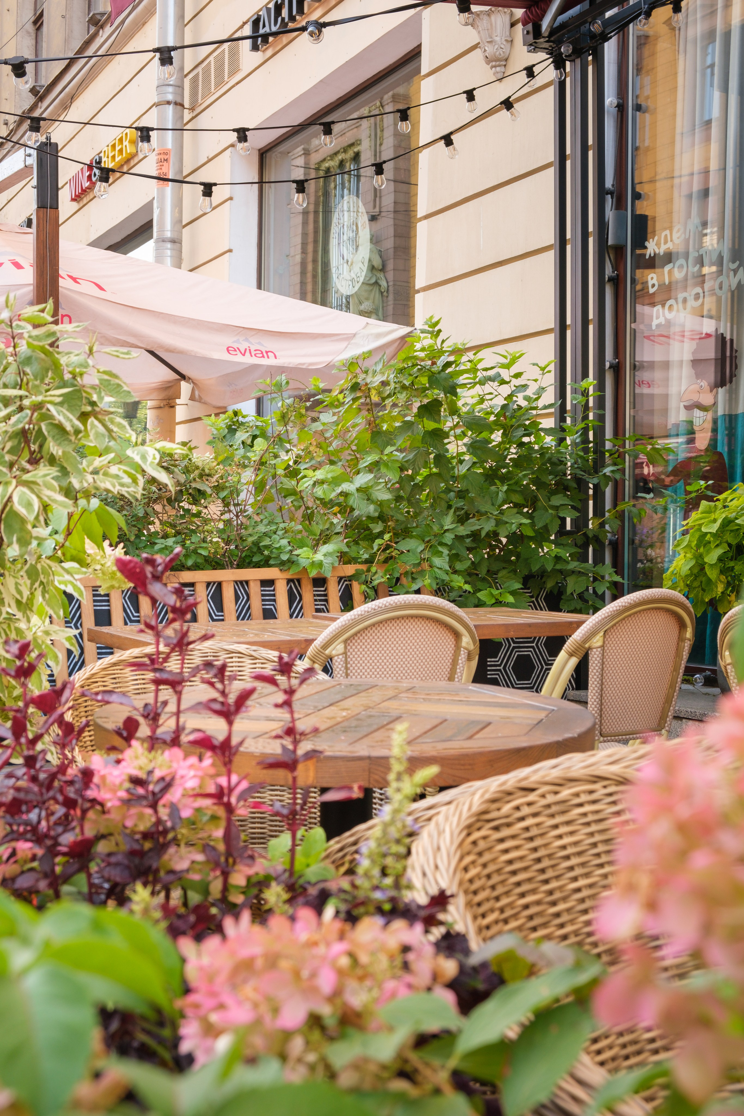 Озеленение