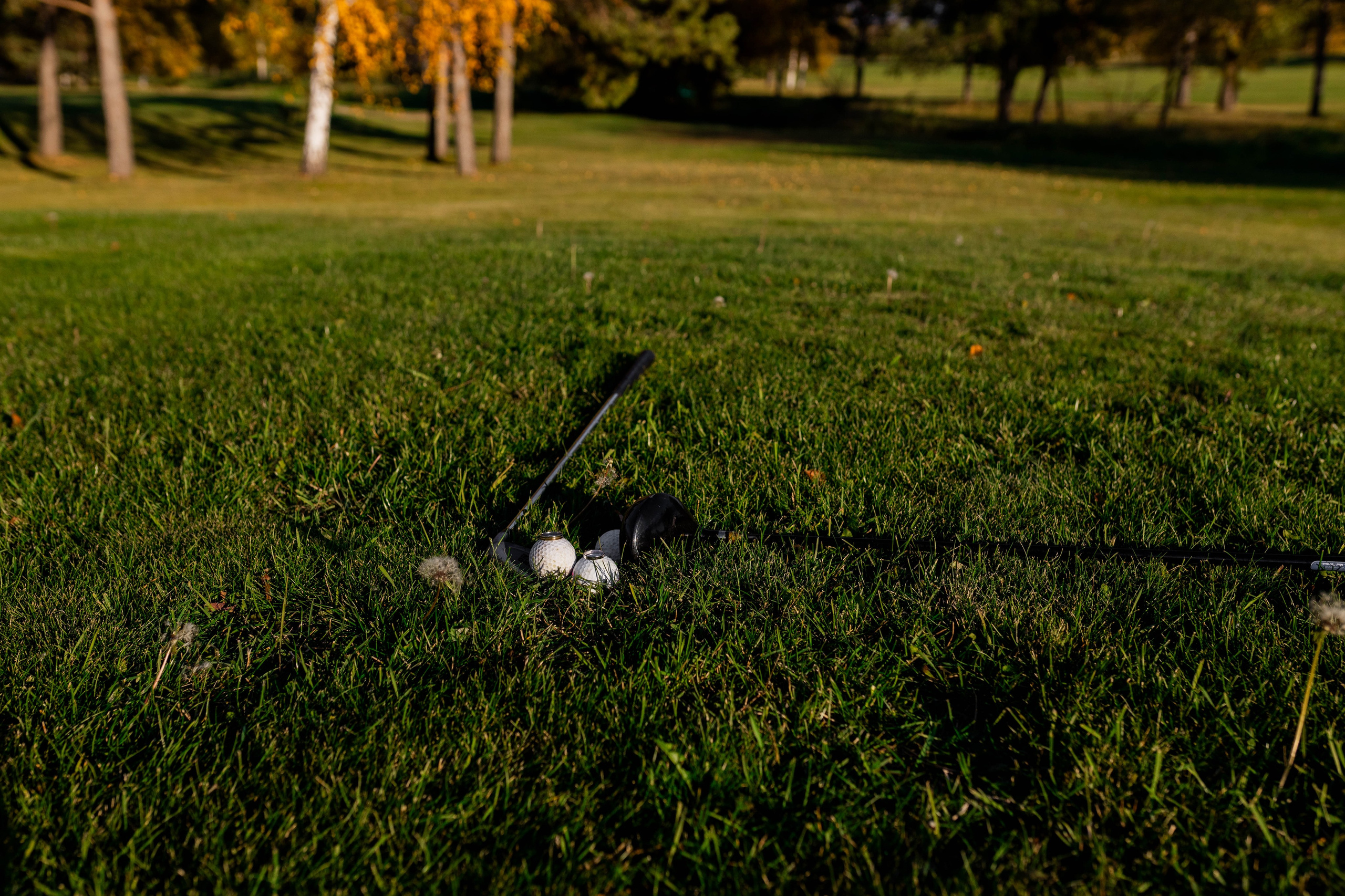 Ерлан и Айгерим