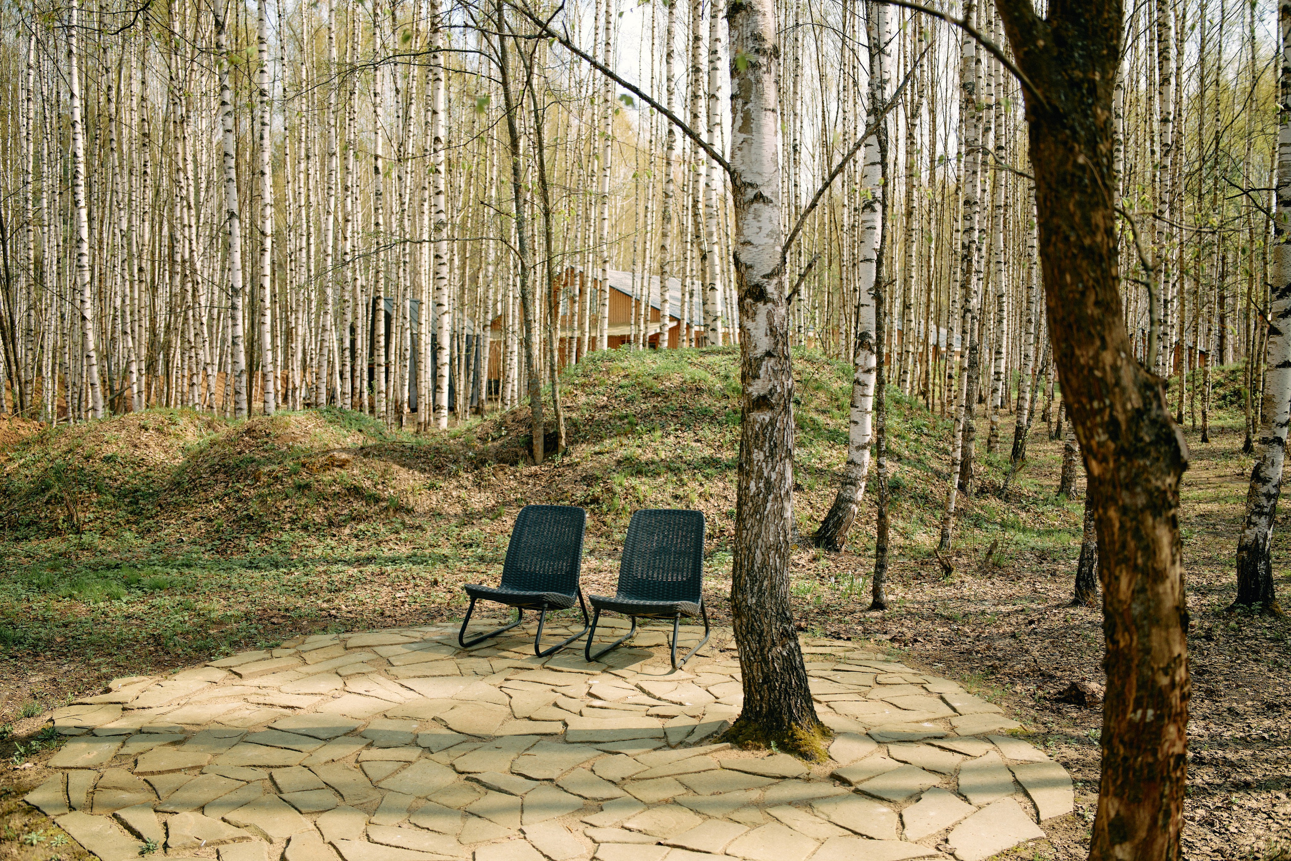 Бутик-отель Поле летом. Профессиональный Фотограф во Владимире, в Москве и в Суздале — Полина Романычева