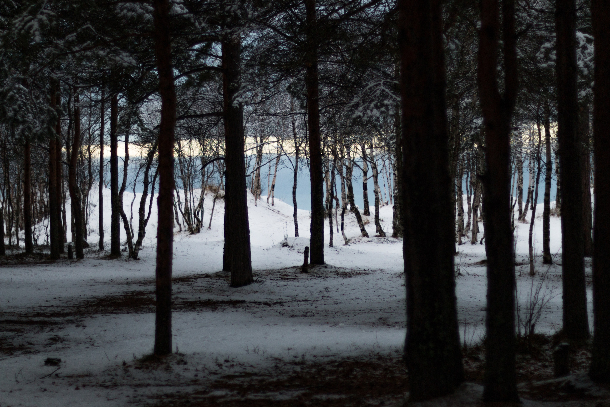 Русский север, Белое море, Архангельск. Фотограф в Сочи