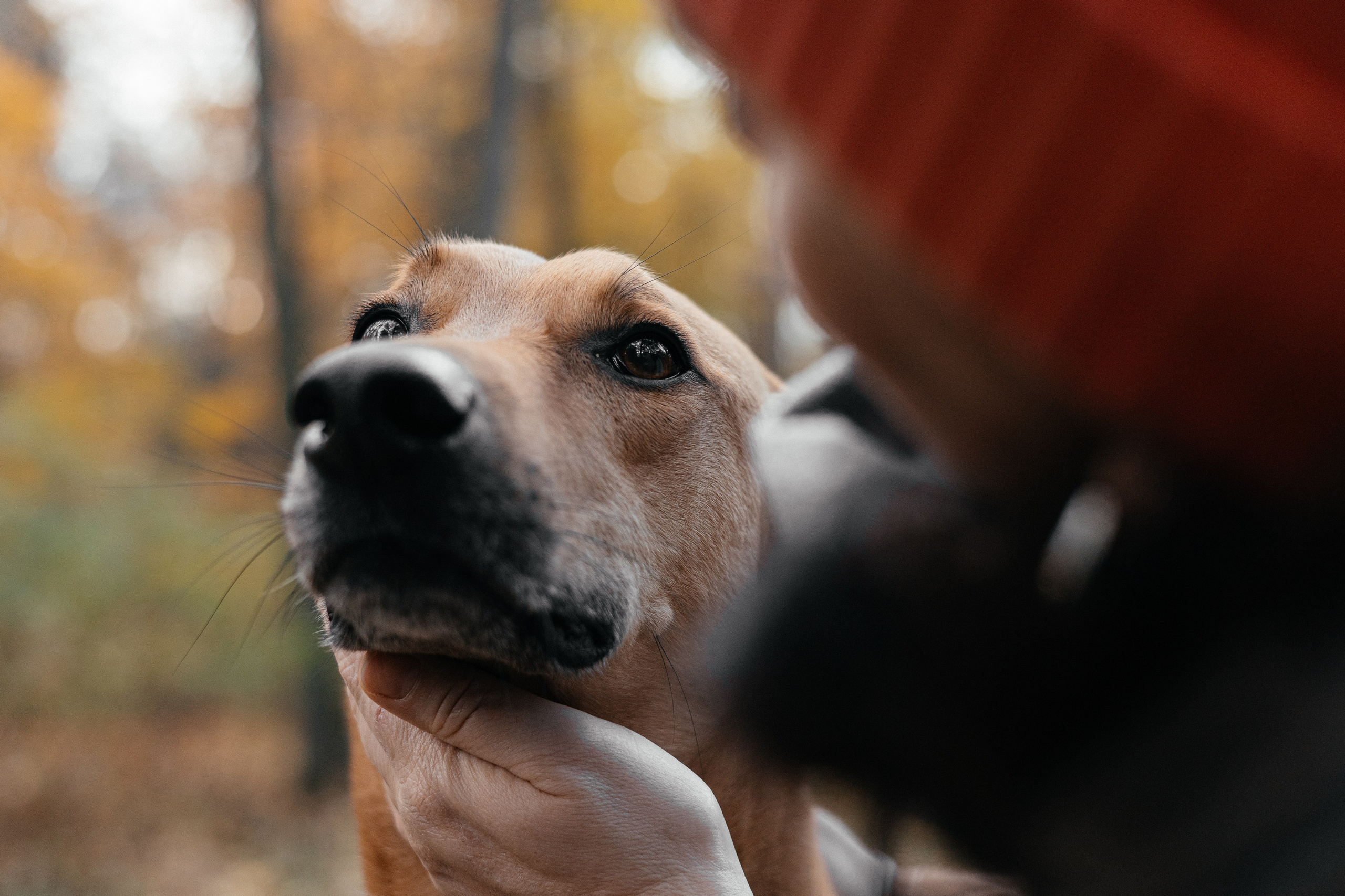 Нелли, Лёша, Рэй и Норд. Фотограф Анна Луценко Москва