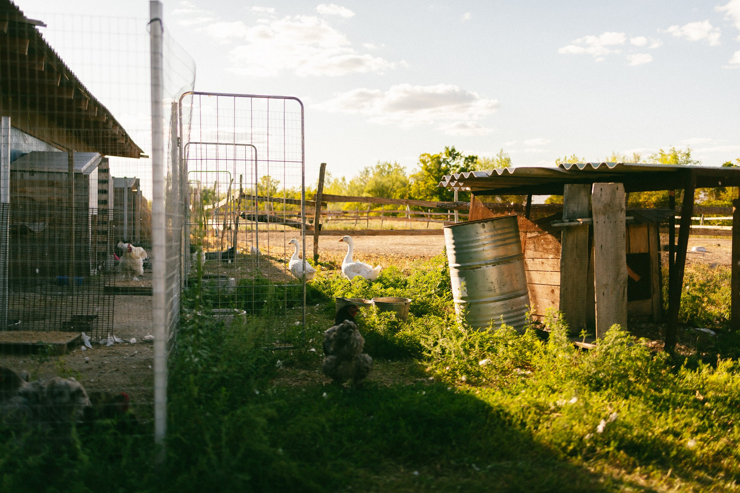 Юля и Алиса. Семейный фотограф в Волгодонске Краченцева Анна