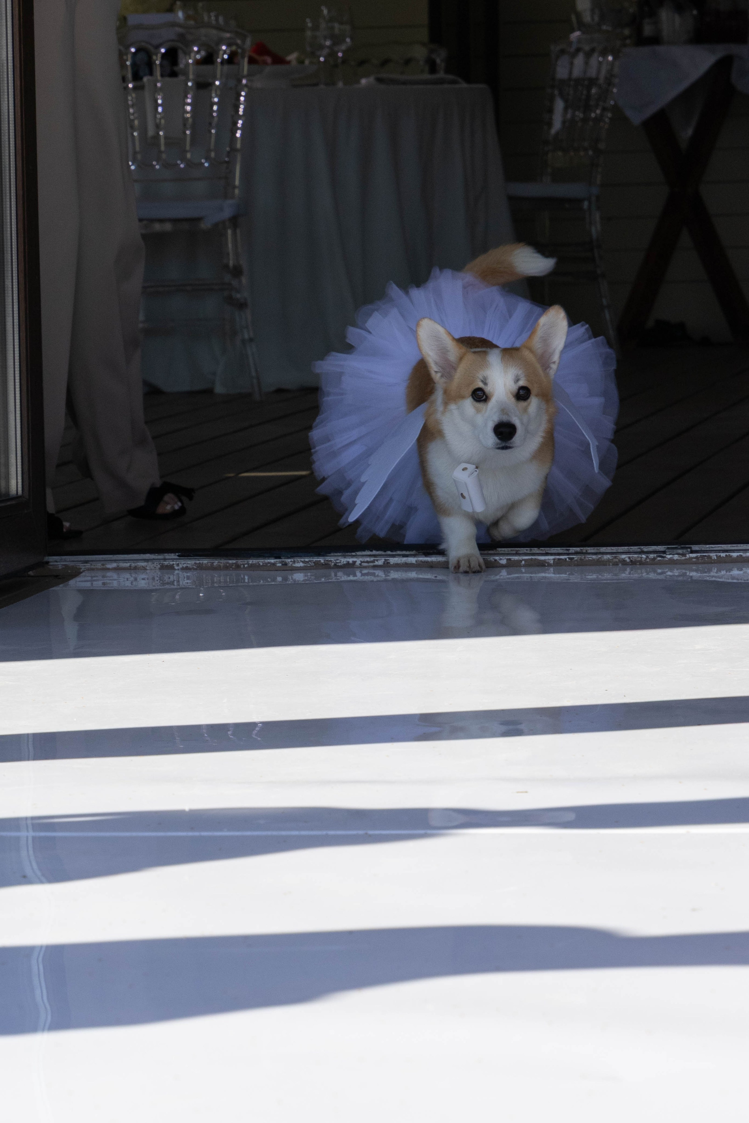 Фотограф Наталия Шептаева город Москва