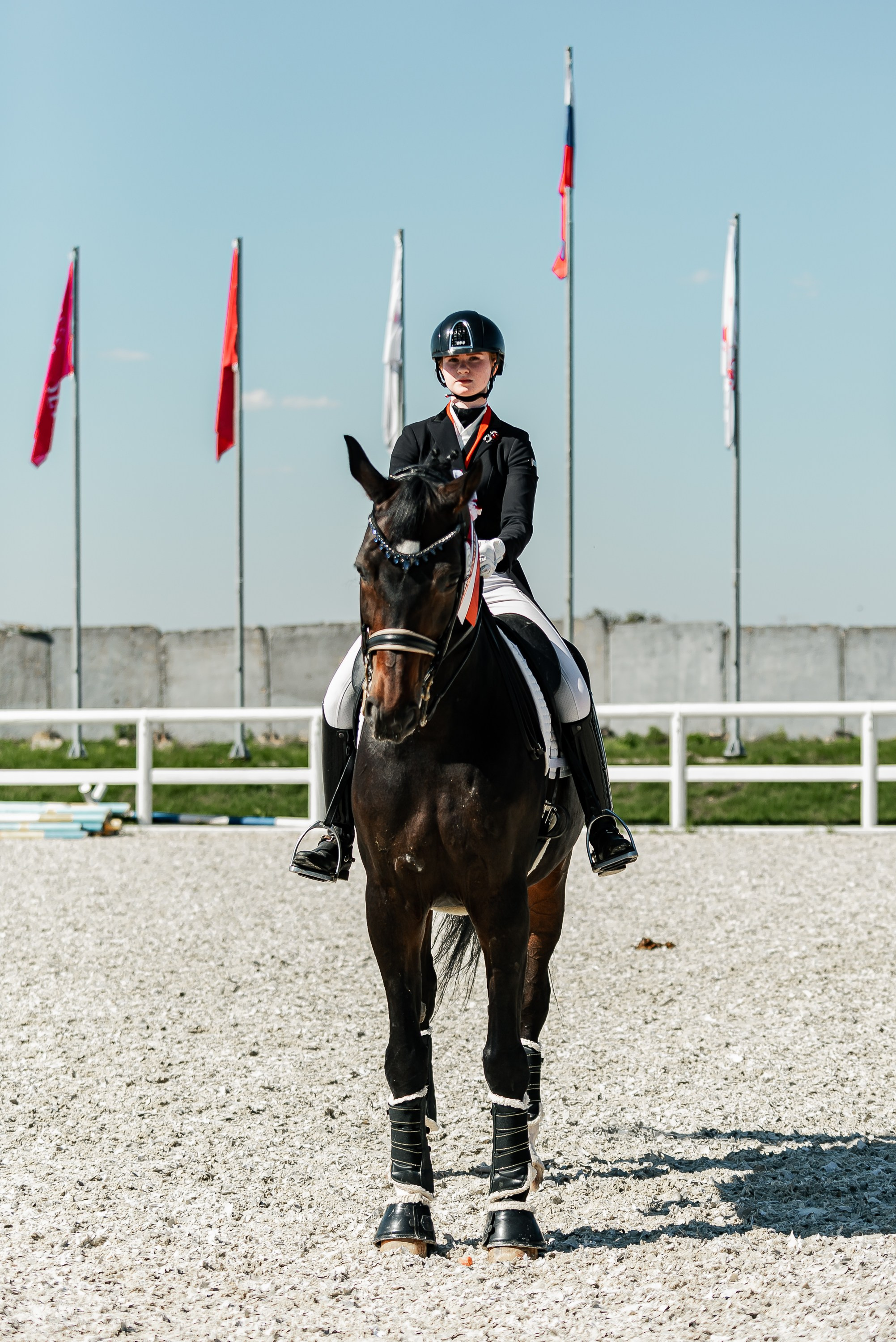 РЕПОРТАЖ МКК ВОЛЬТ «LA TULIPS». Конный фотограф Куракина Дарья • Фотосессии с лошадьми