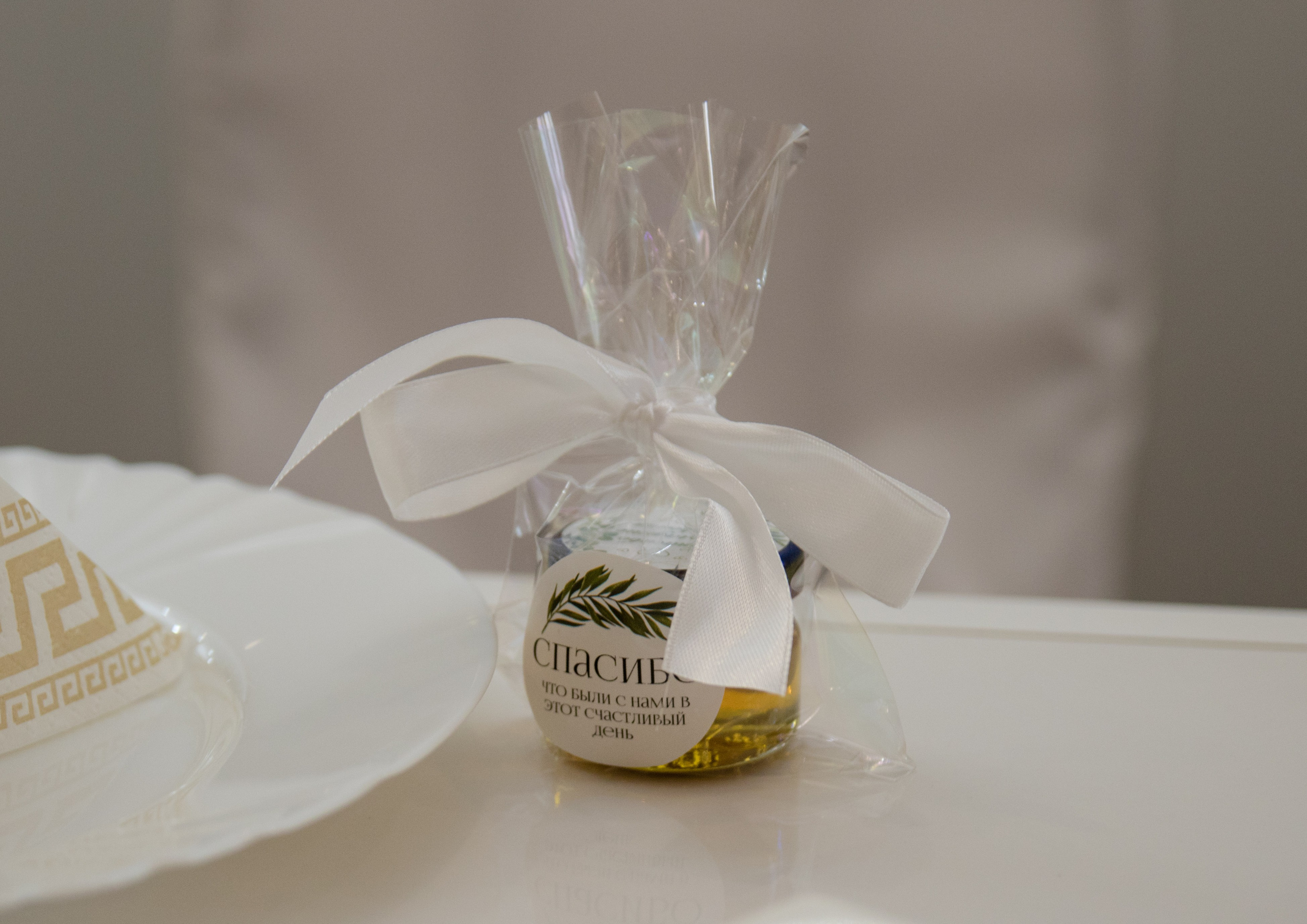 Фотографы. Организатор праздников. Ведущая Марина Гребенникова